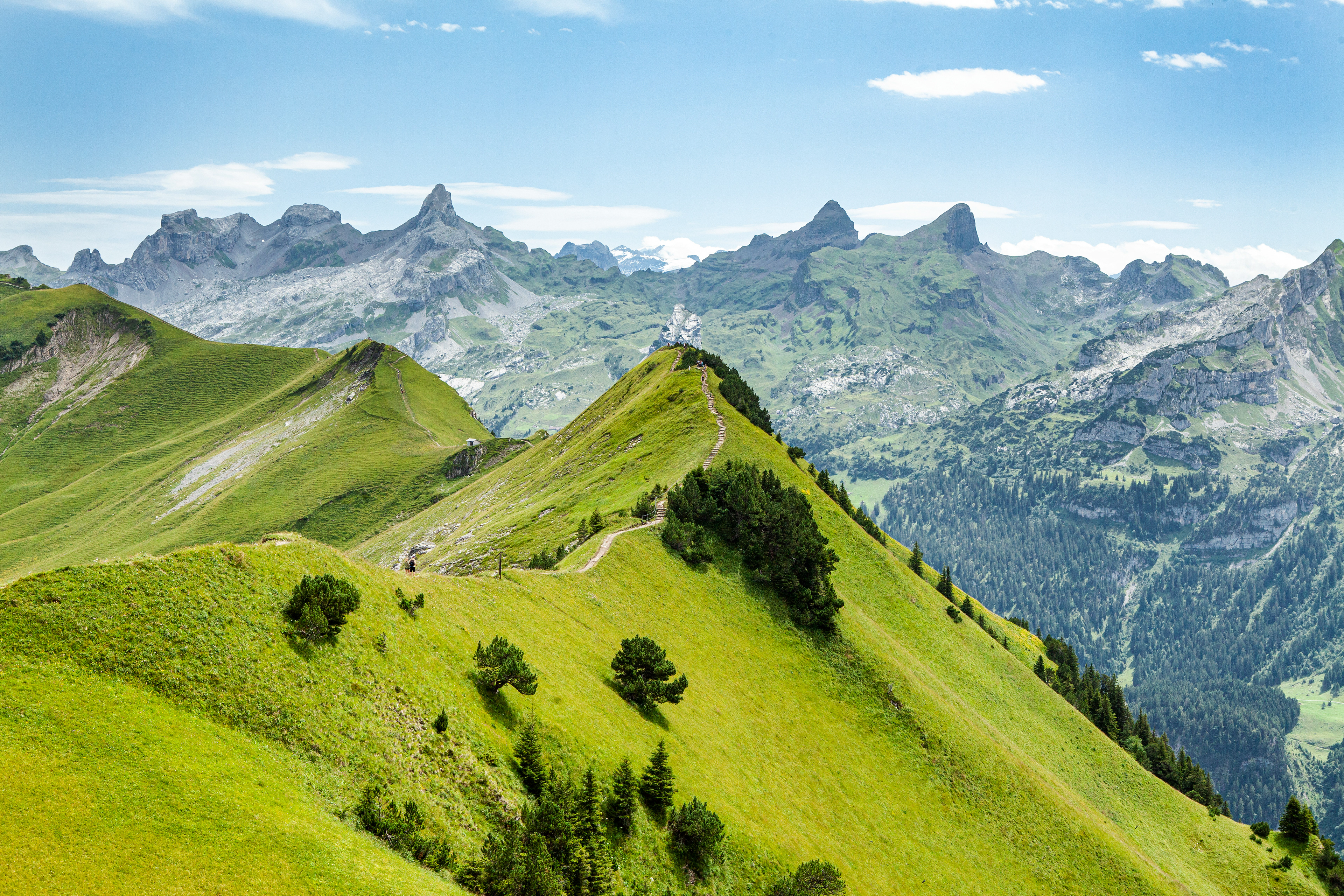 copyright: Femke van den Heuvel Fotografie