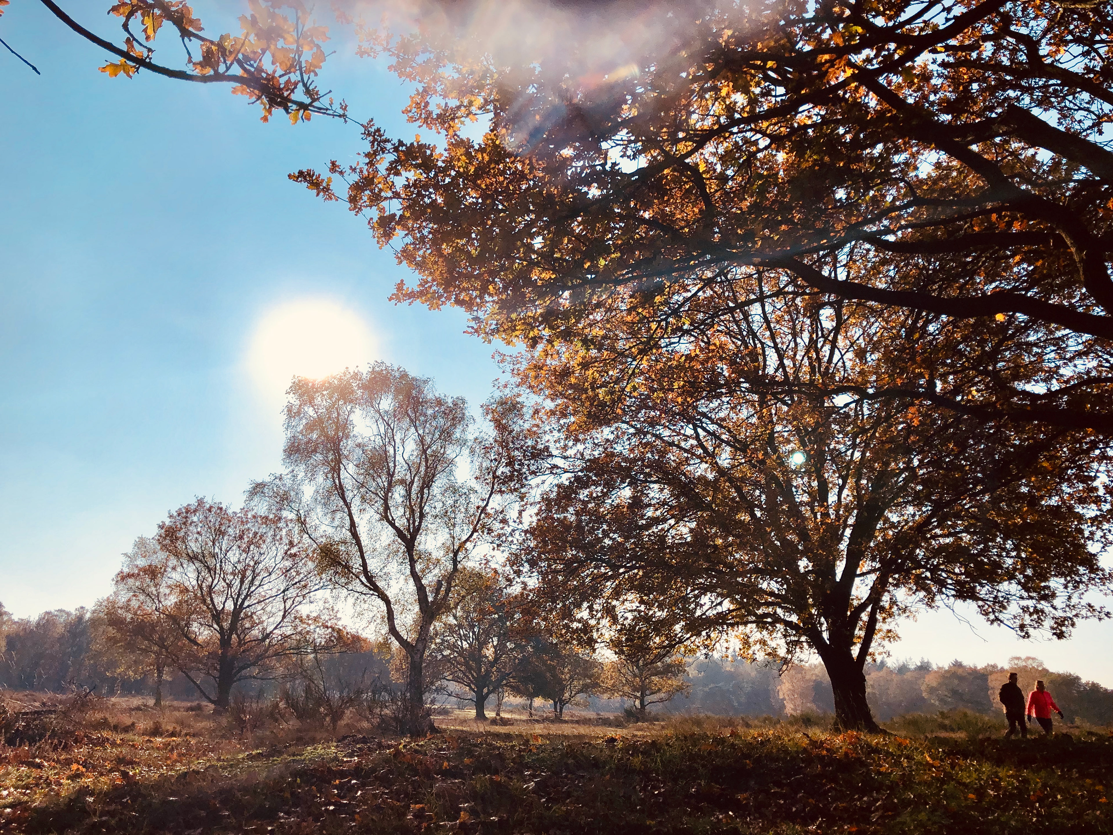 copyright: Femke van den Heuvel Fotografie