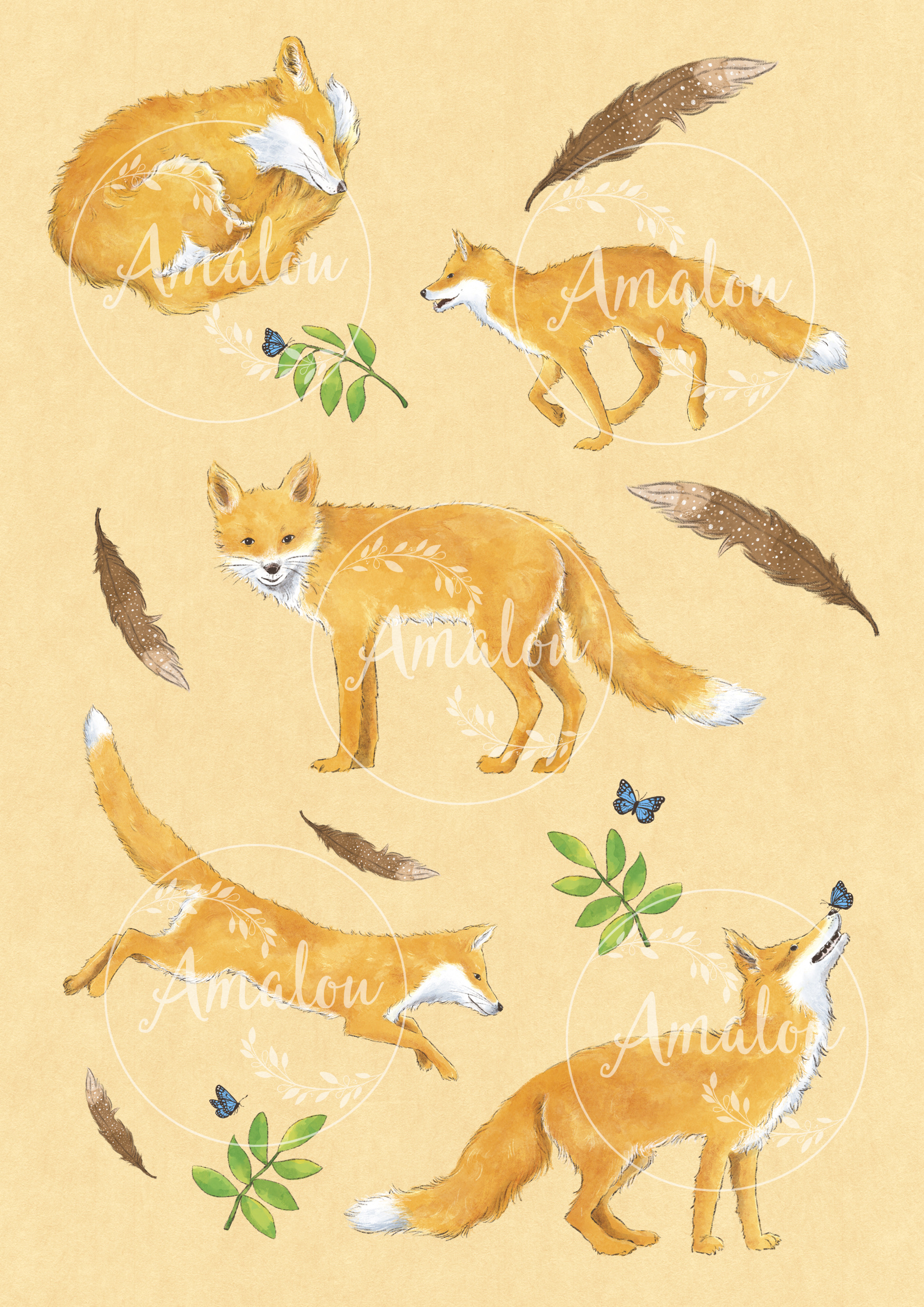 Foxes on cream