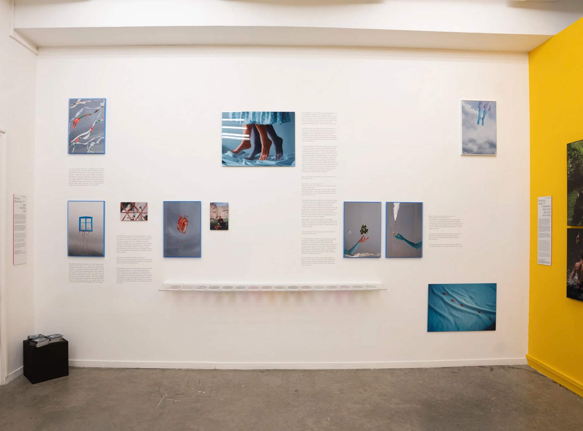 I joke therefore I am - exhibition