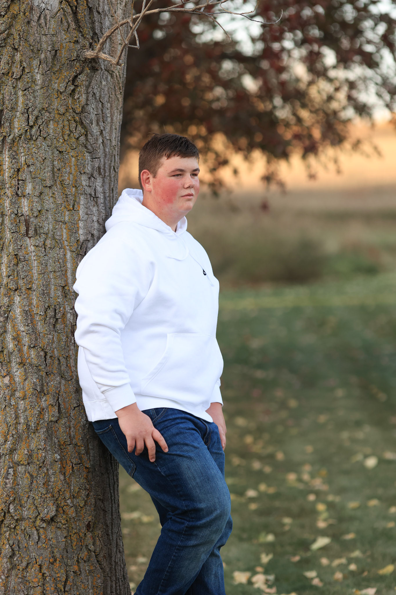 Against Tree 3