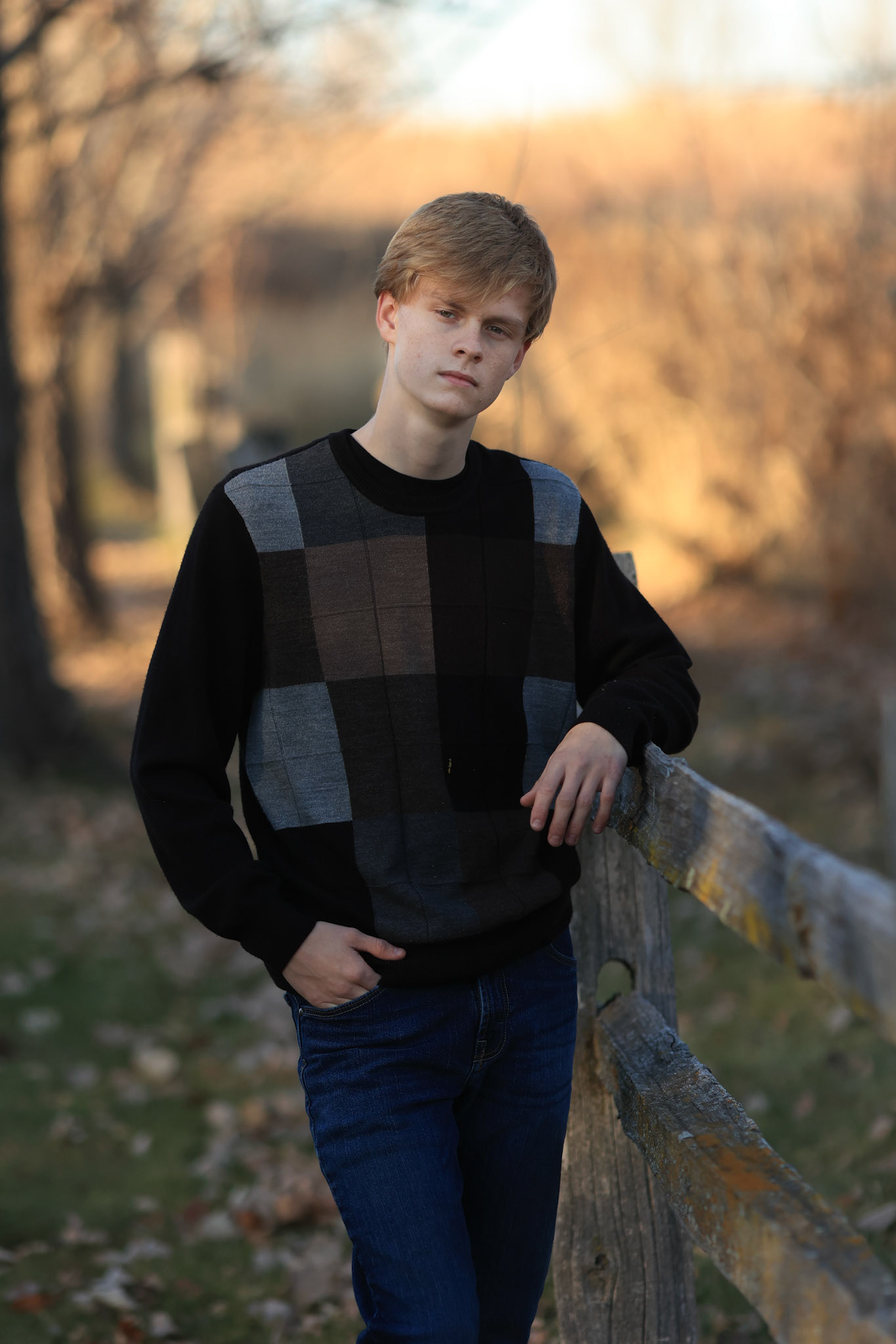 Fence Ethan 1