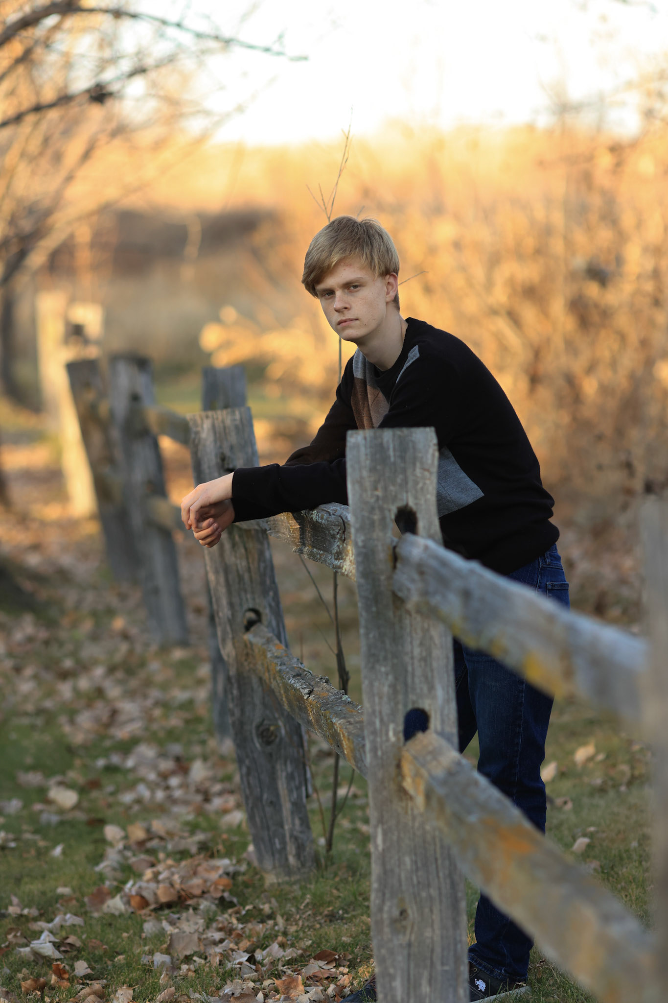 Fence Ethan 3