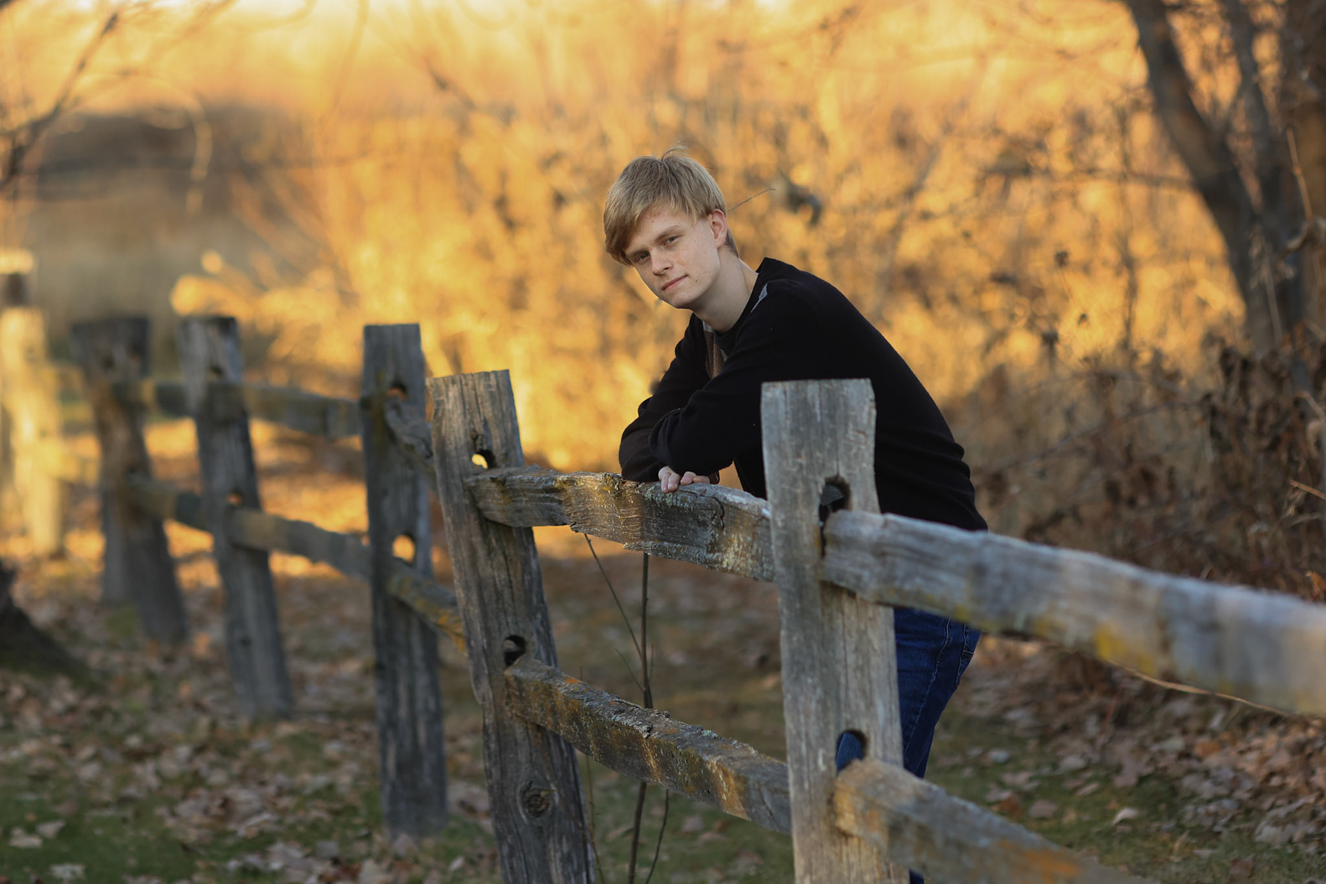 Fence Ethan 2