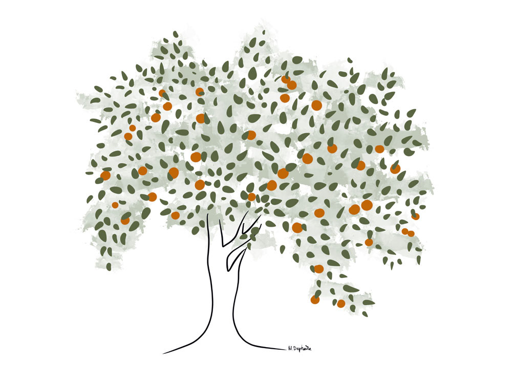 Illustration for Natura