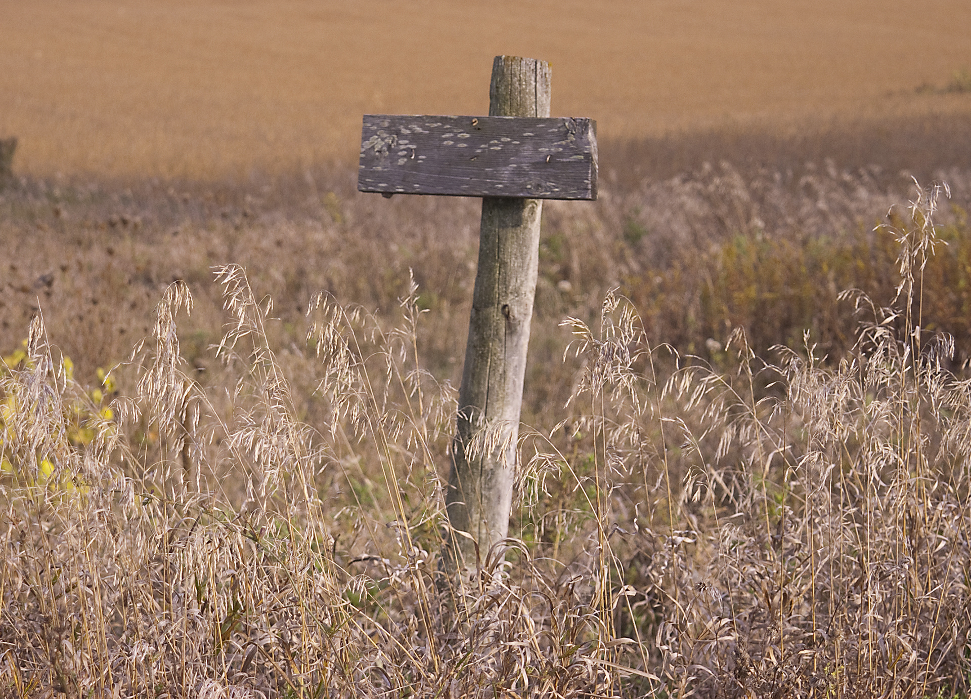 forgotten sign
