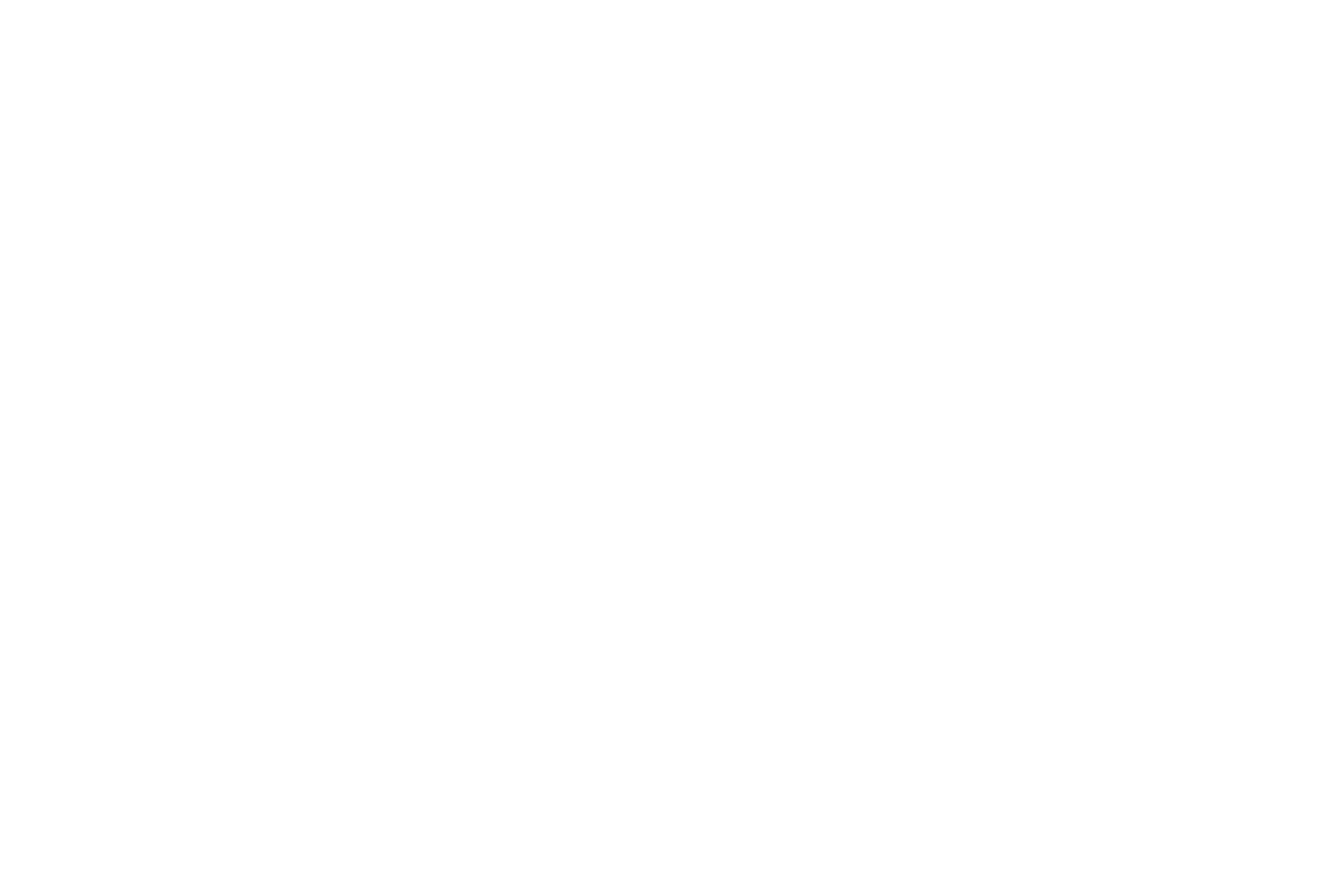 Joao Pereira