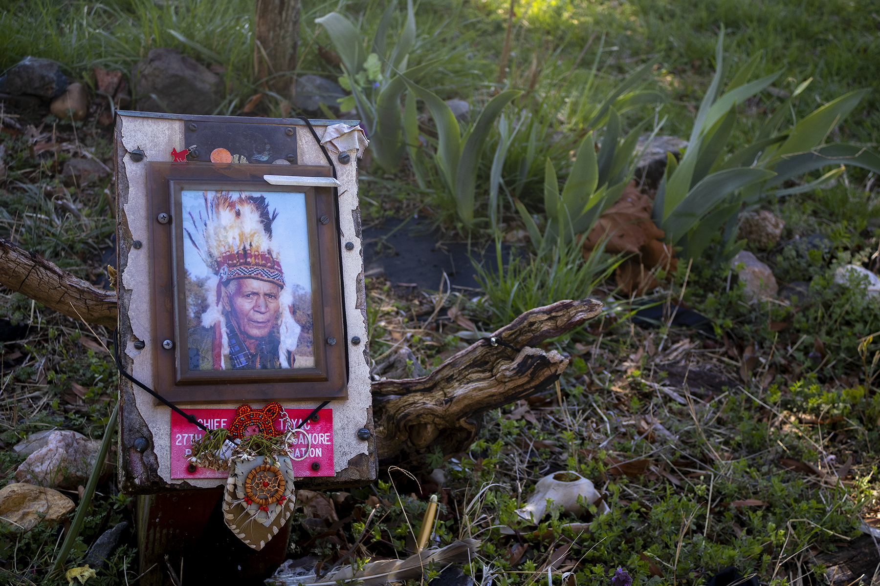 This image honors the memory of Chief Turkey Tayac, a leader of the Piscataway people whose legacy of resilience and cultural revival continues to shape the region. I acknowledge that I live and work on the ancestral lands of the Piscataway, whose stewardship of this land predates colonial borders and persists to this day.