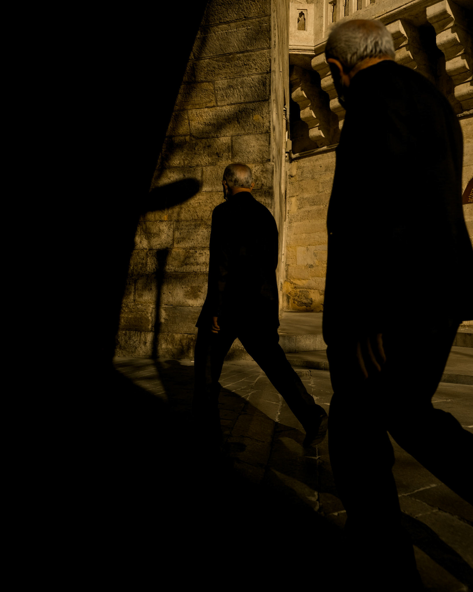 Into the Dark