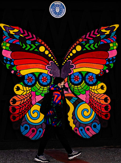Butterfly Effect