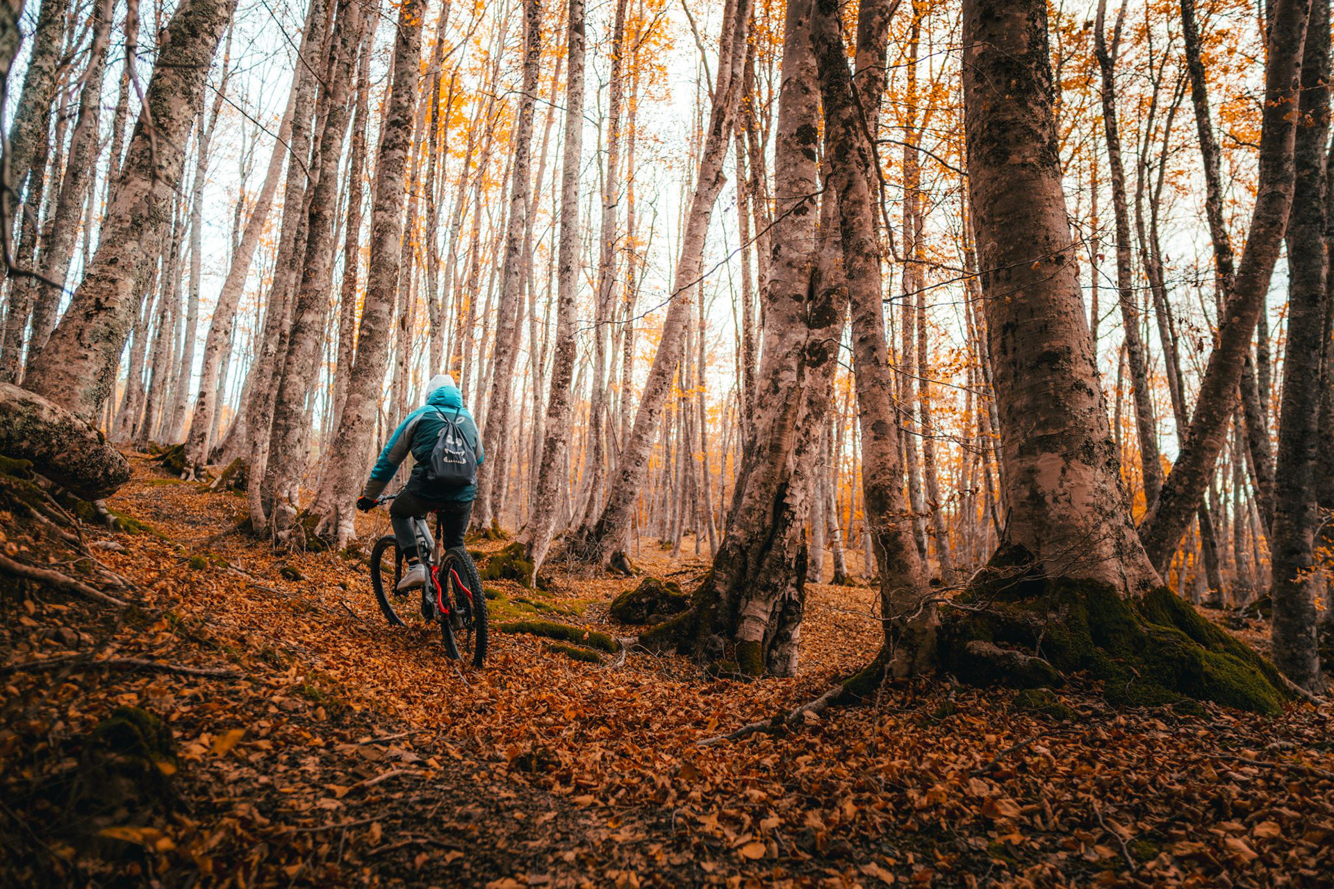 Mountain bike al Bosco Favino