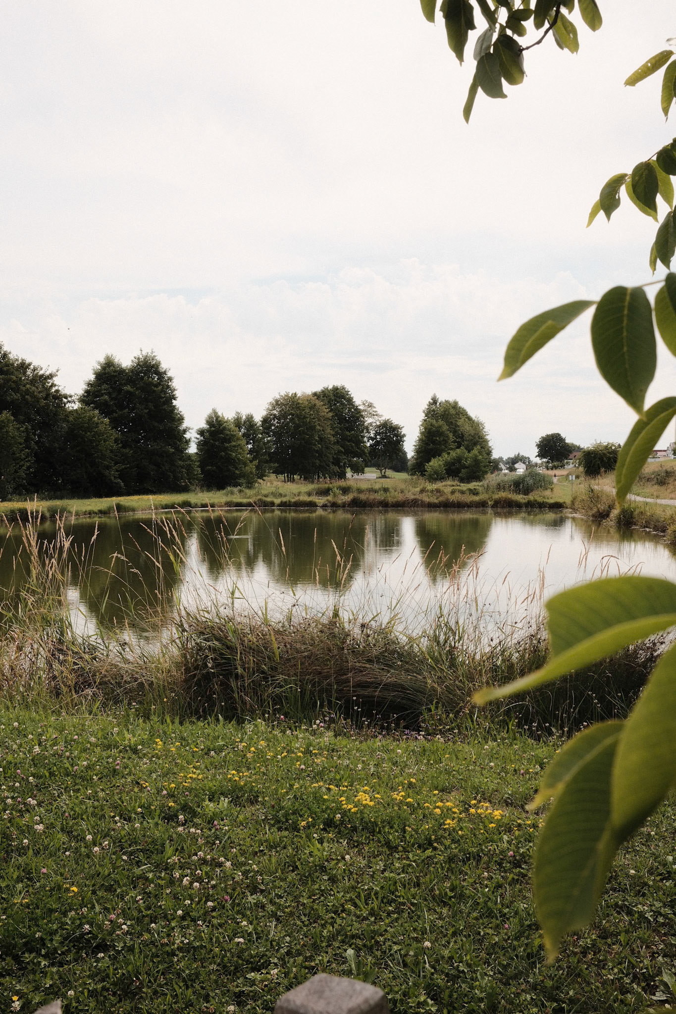 19.07.2025 / Ohne Titel - Fuji X100VI