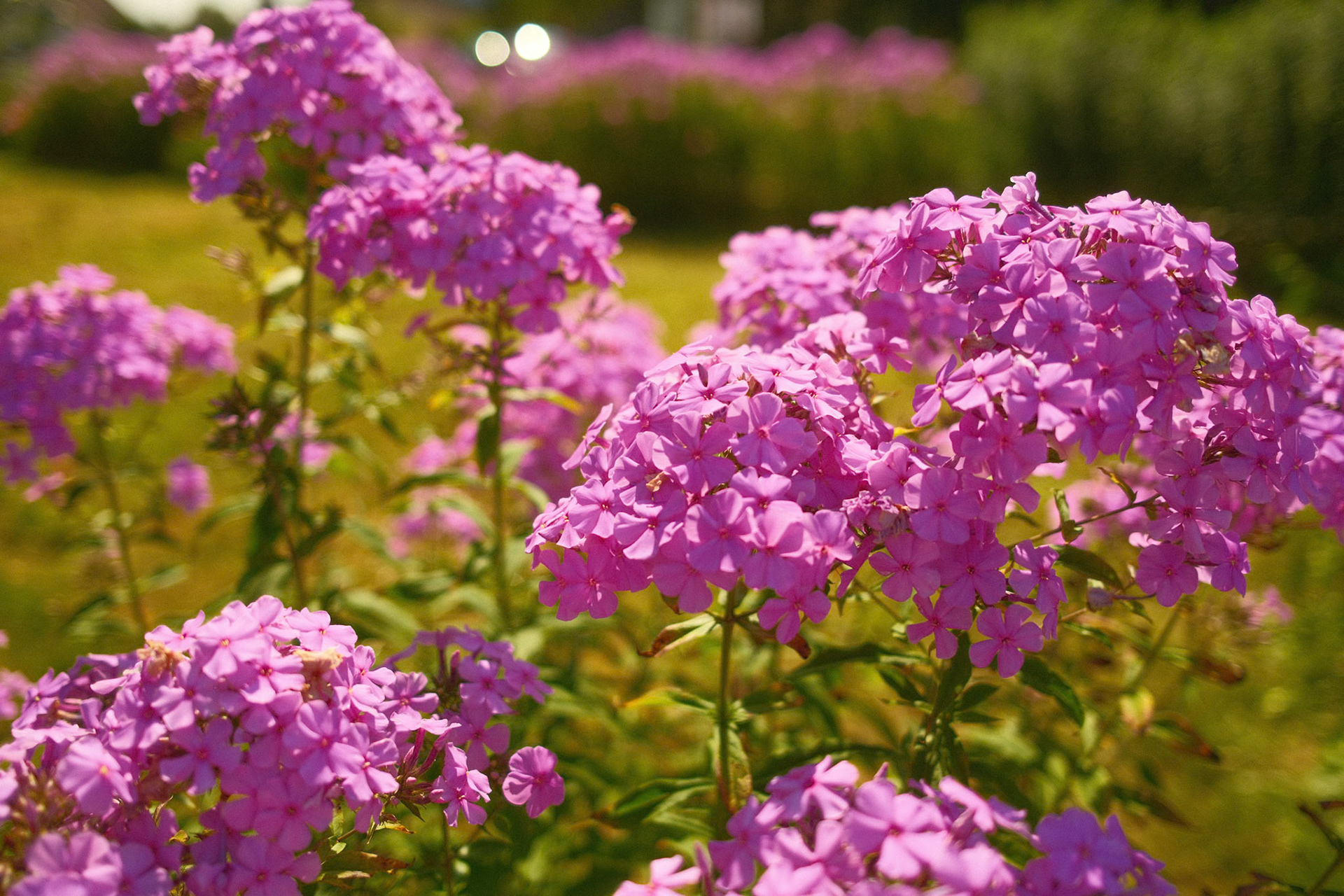 10.08.2025 / New Recipe - Fuji X100VI
