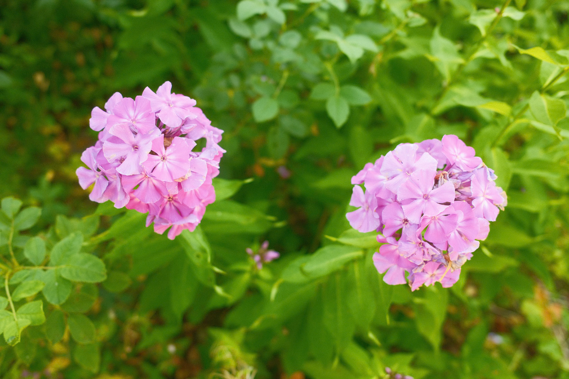 10.08.2025 / New Recipe - Fuji X100VI