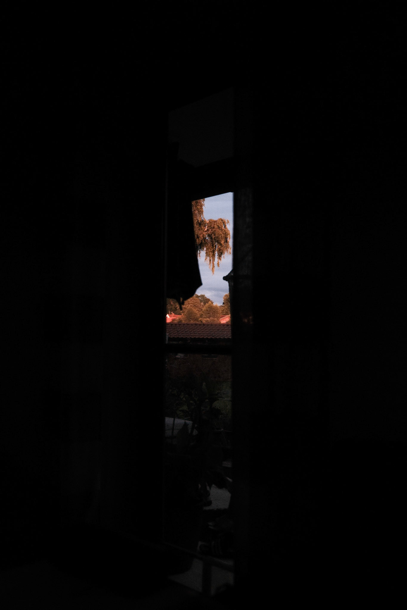 30.07.2025 / Ohne Titel - Fuji X100VI