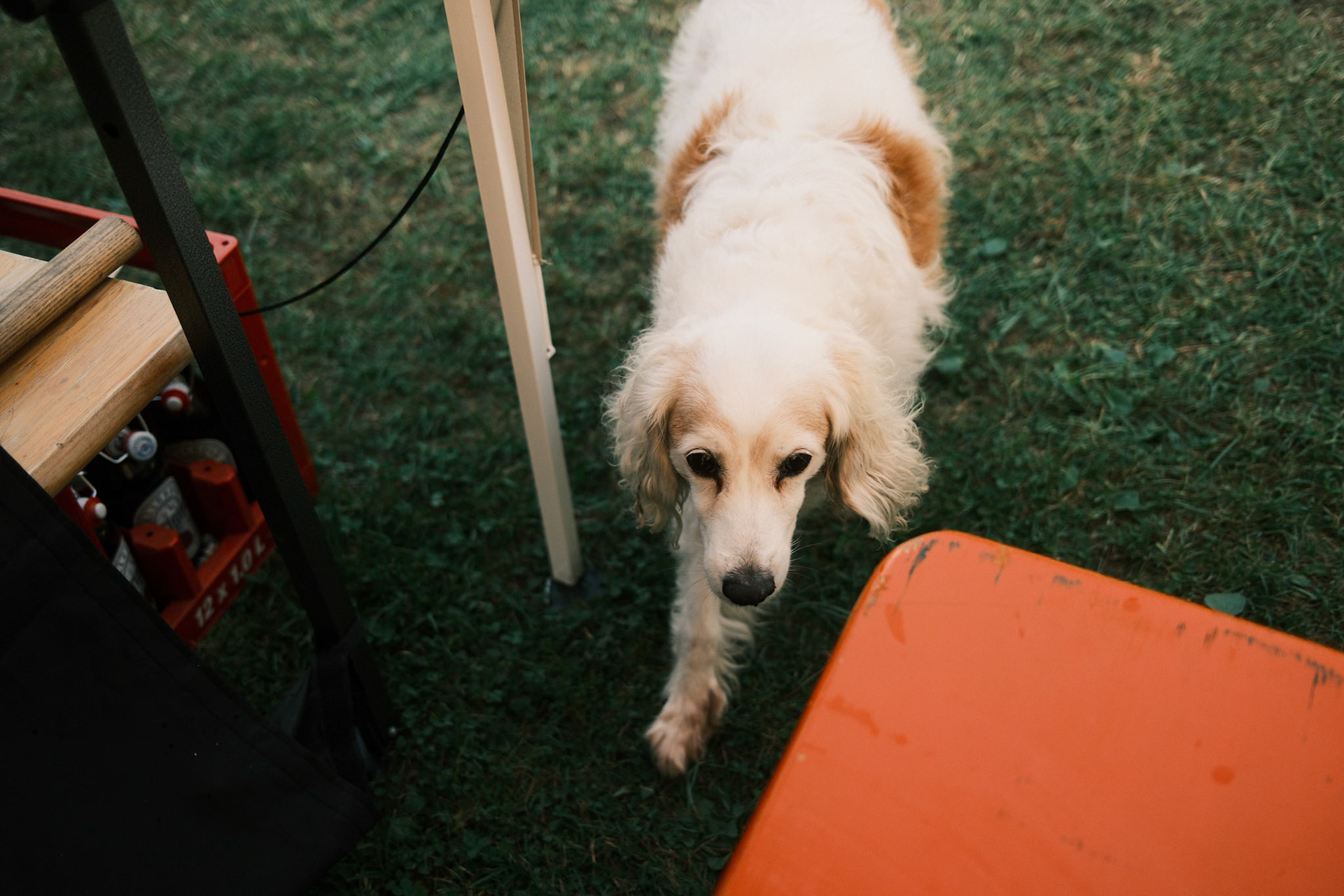 16.08.2025 / Ohne Titel - Fuji X100VI