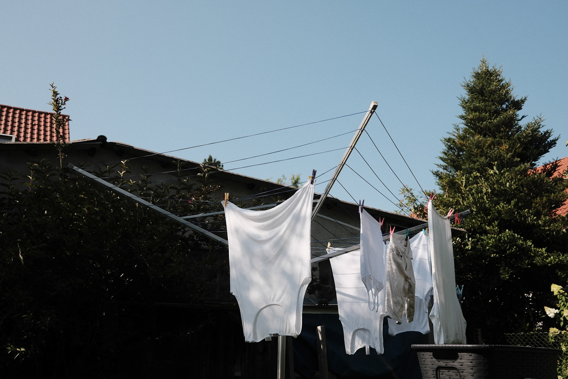 10.08.2025 / Ohne Titel - Fuji X100VI