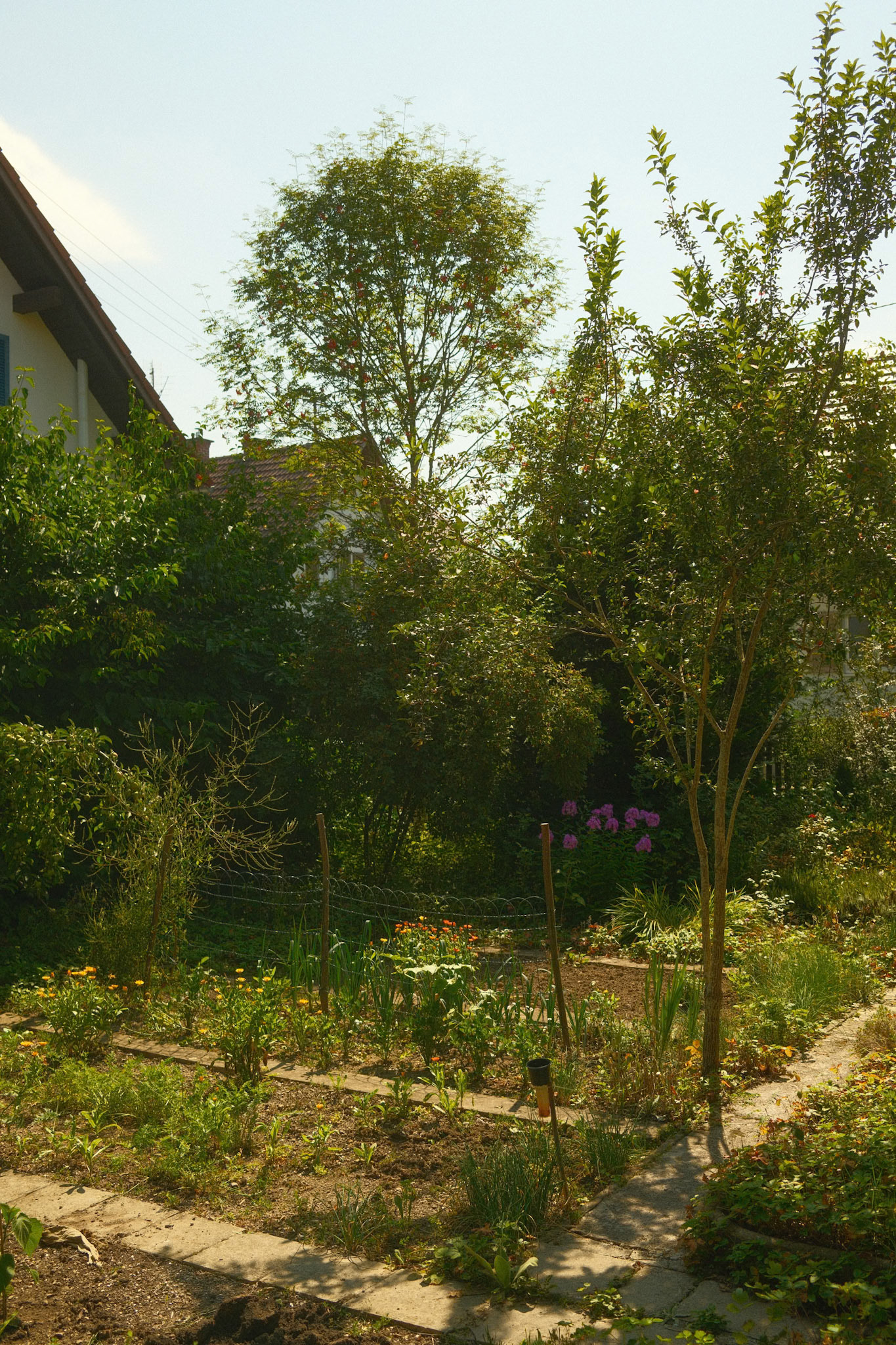 10.08.2025 / New Recipe - Fuji X100VI