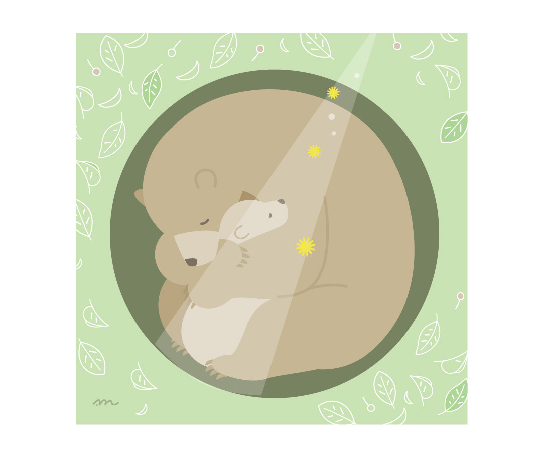 冬眠中のクマの親子
