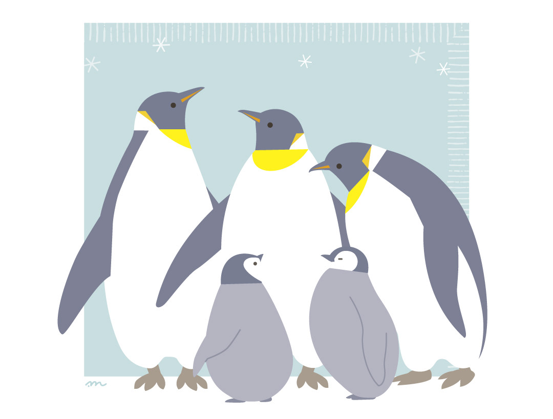 コウテイペンギンの親子