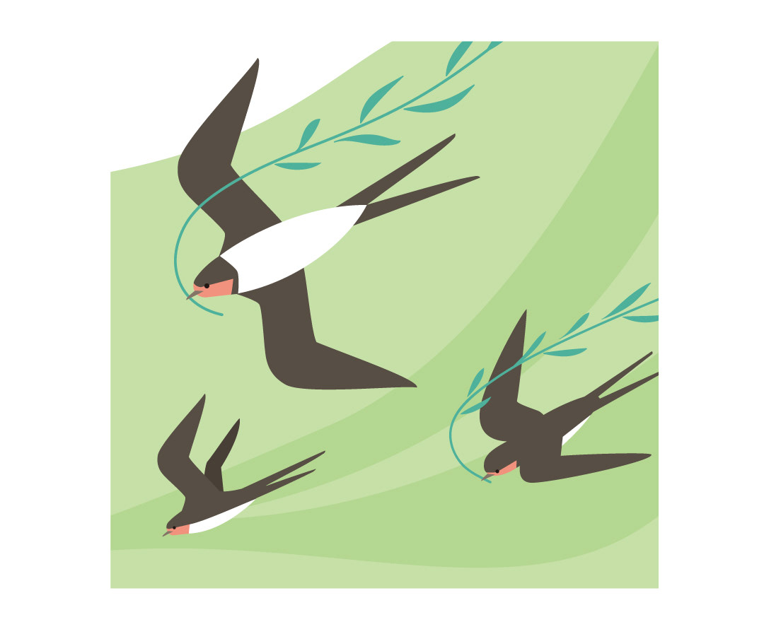 群れ飛ぶツバメ