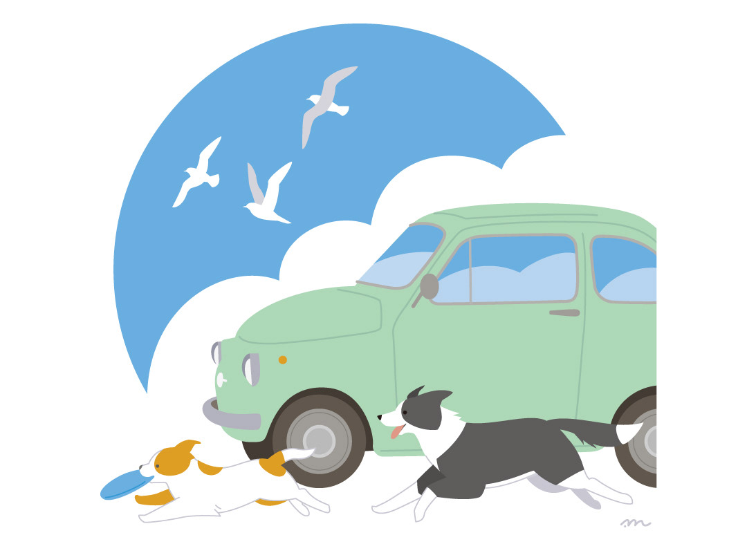 夏の犬達とフィアット500