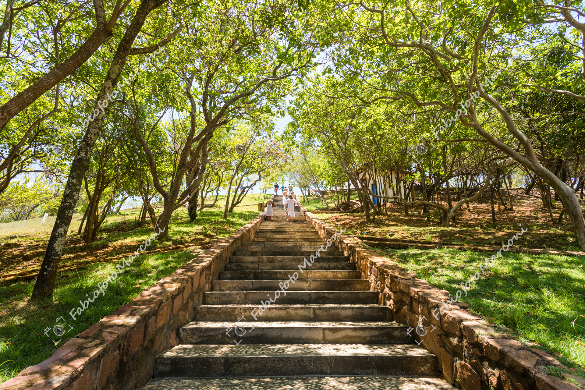 ILHA DOS FRADES 17