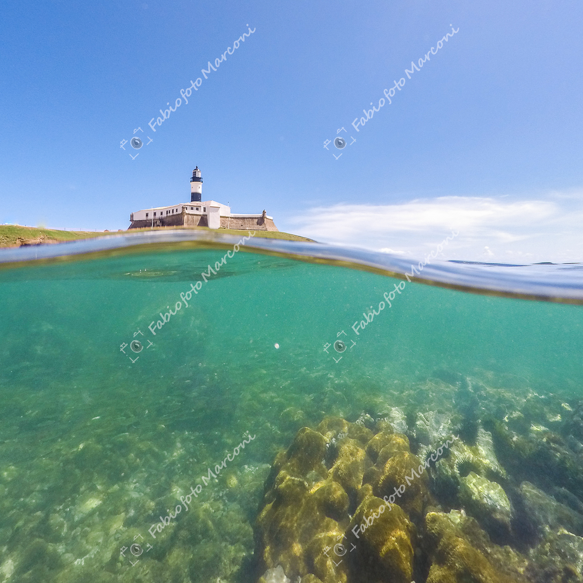 FAROL DA BARRA 55