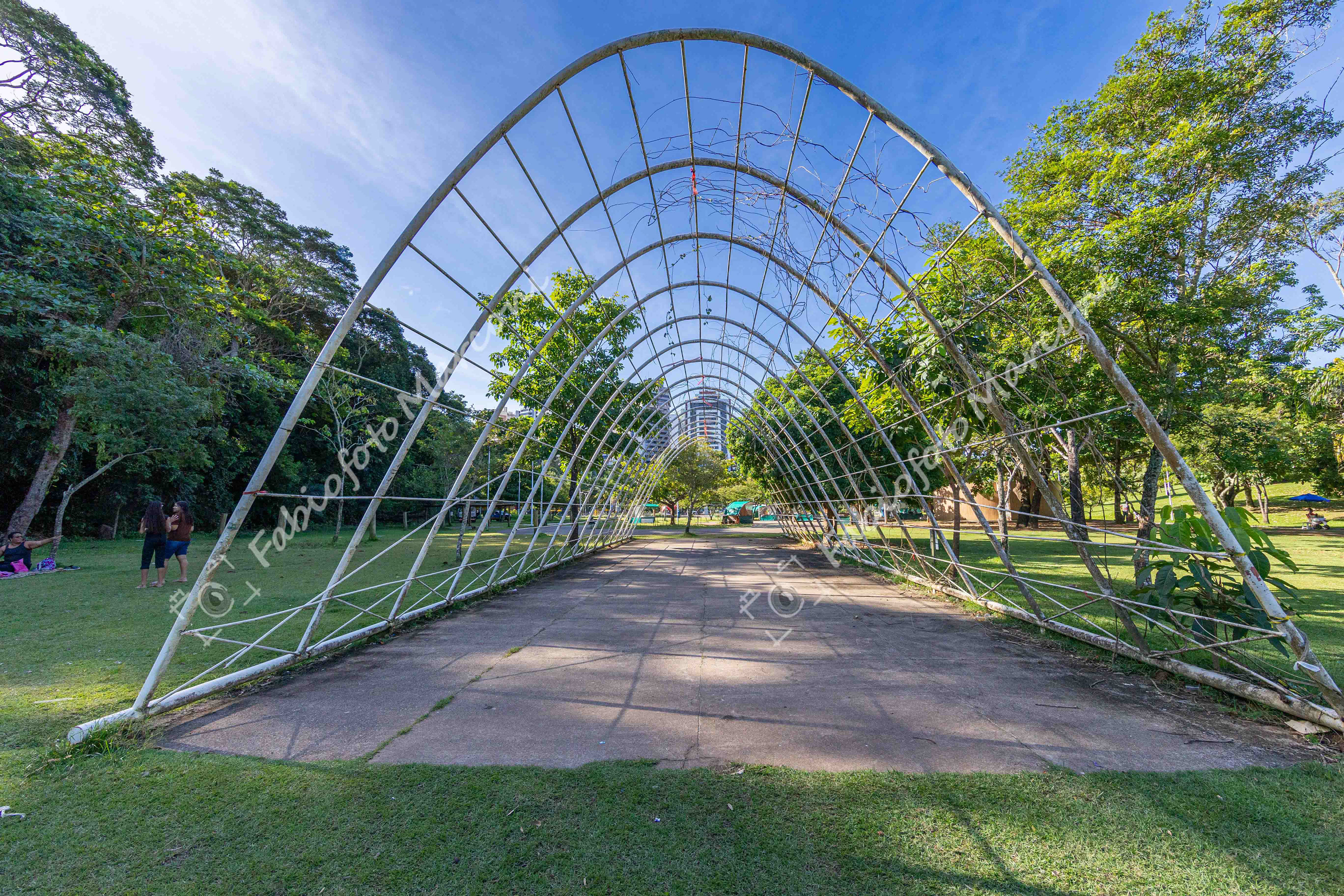 PARQUE DA CIDADE 19