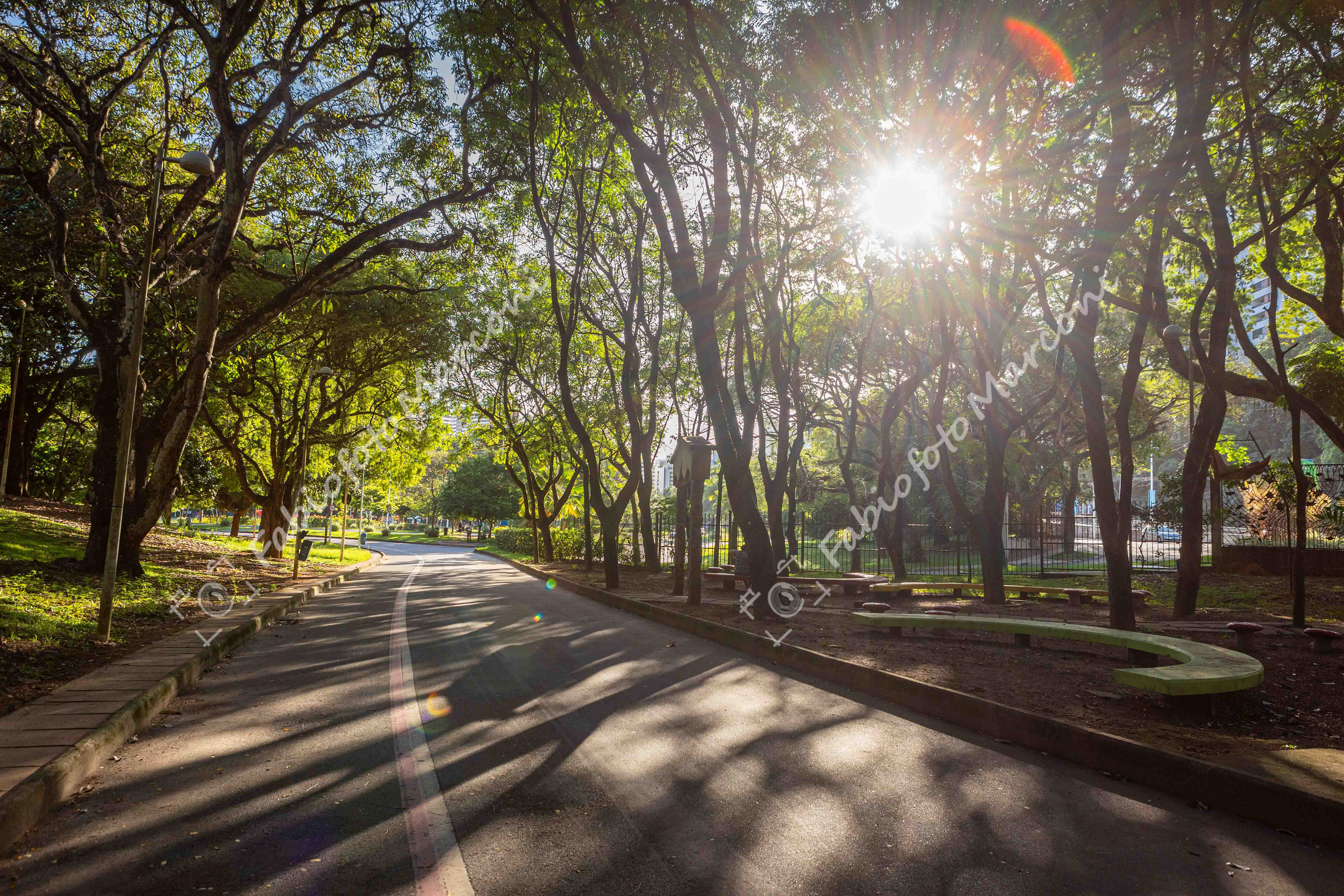 PARQUE DA CIDADE 23