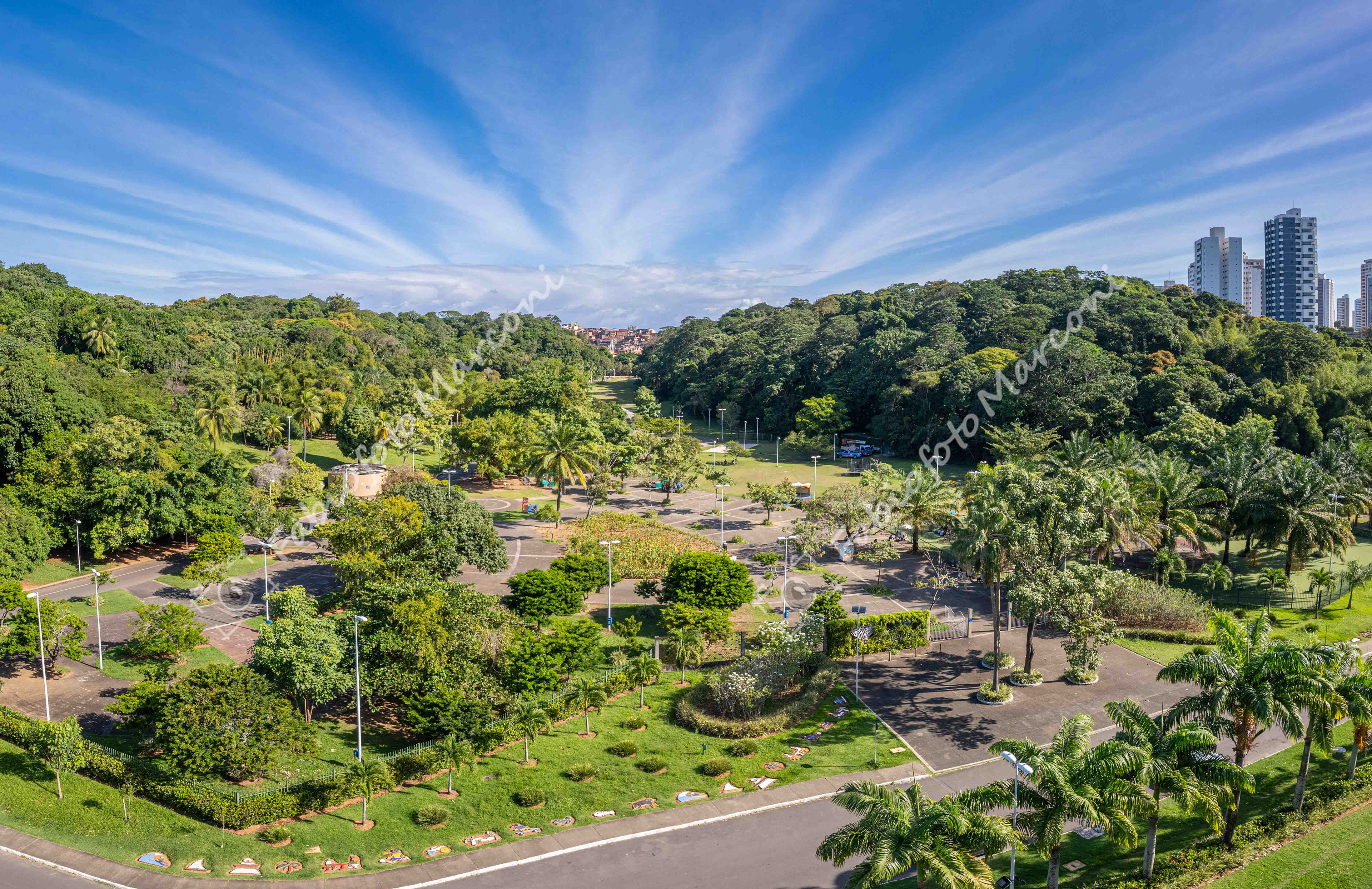 PARQUE DA CIDADE 7