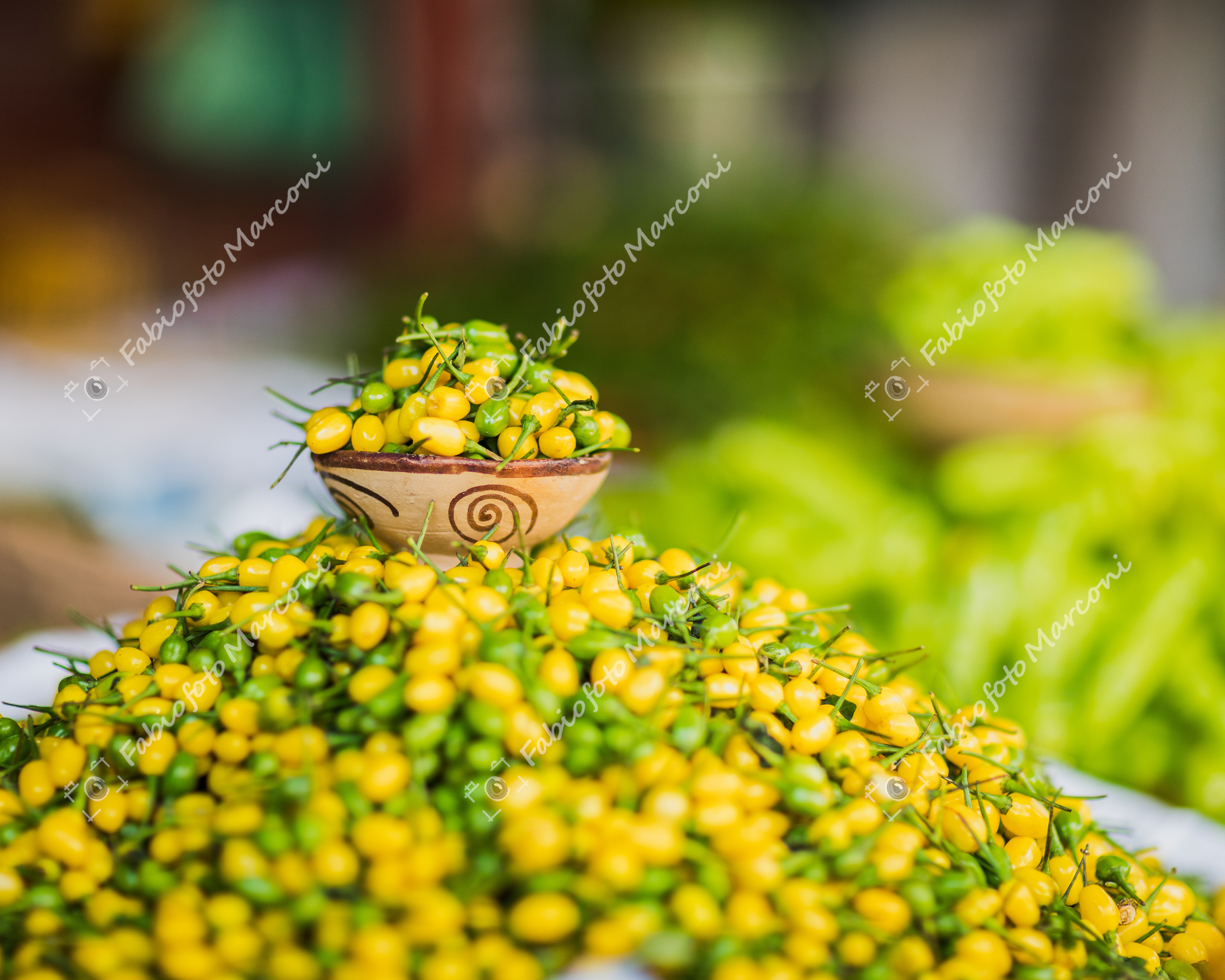 FEIRA 16