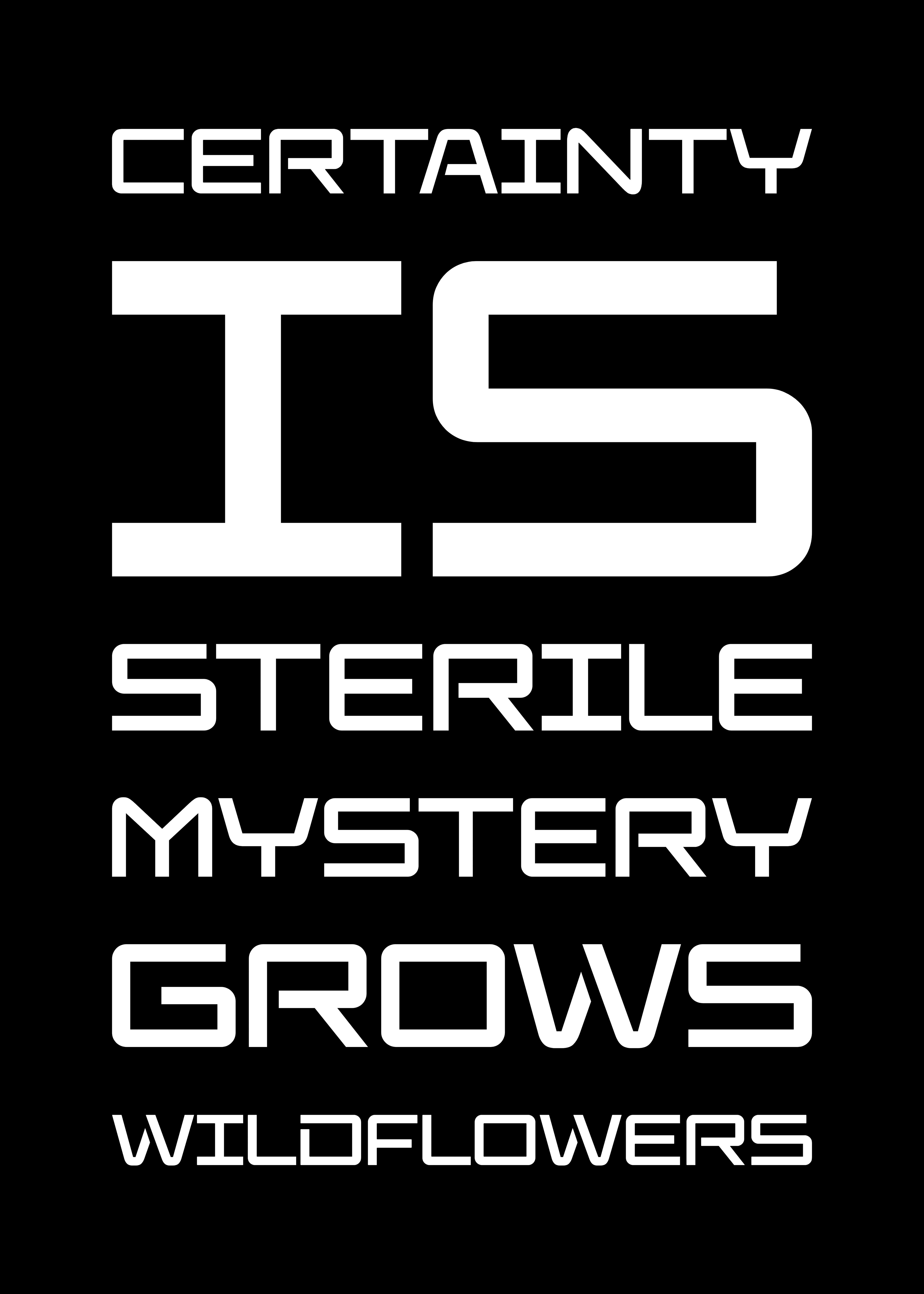 Certainty is sterile © Nicholas V. K.