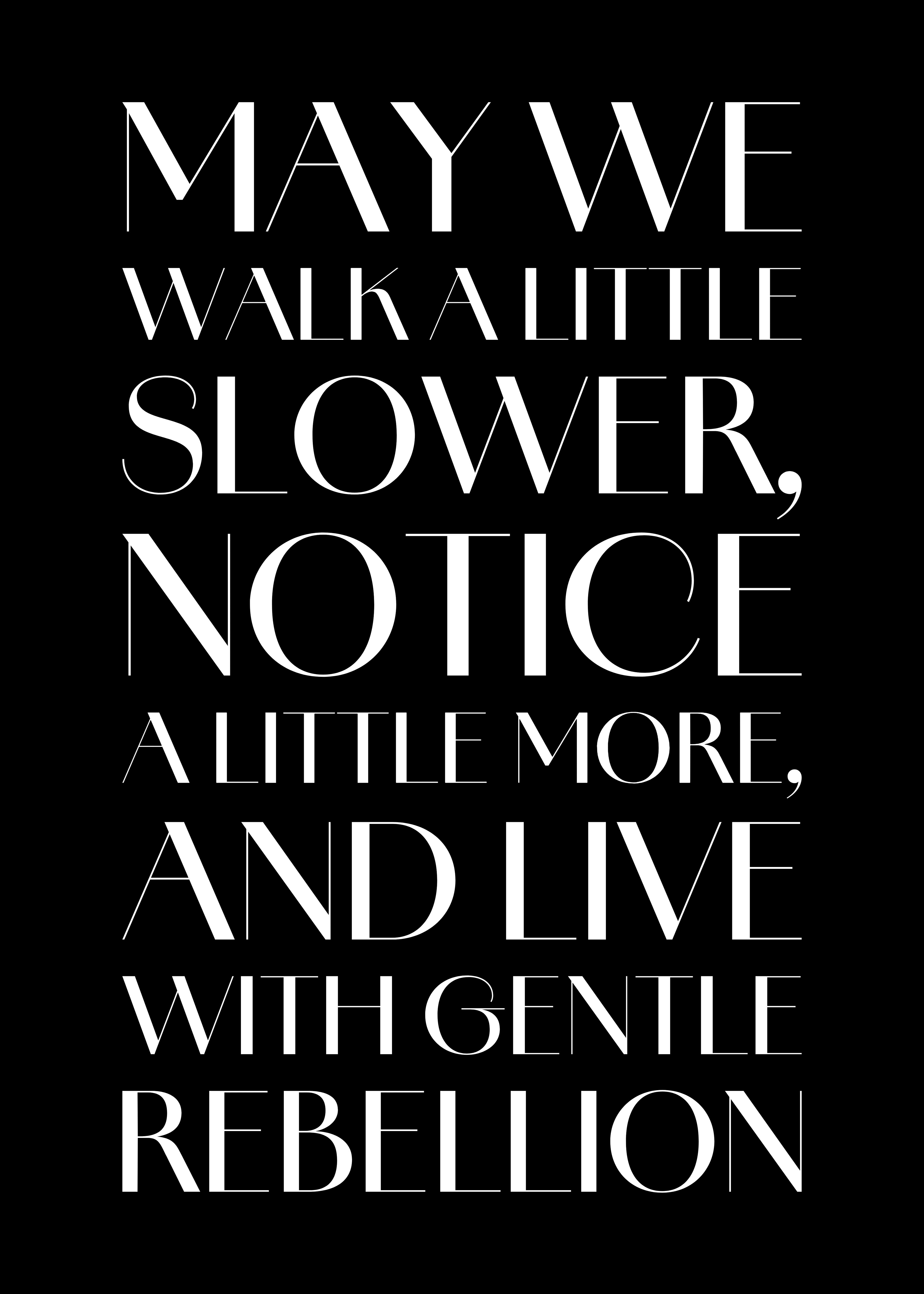 Gentle Rebellion © Nicholas V. K.