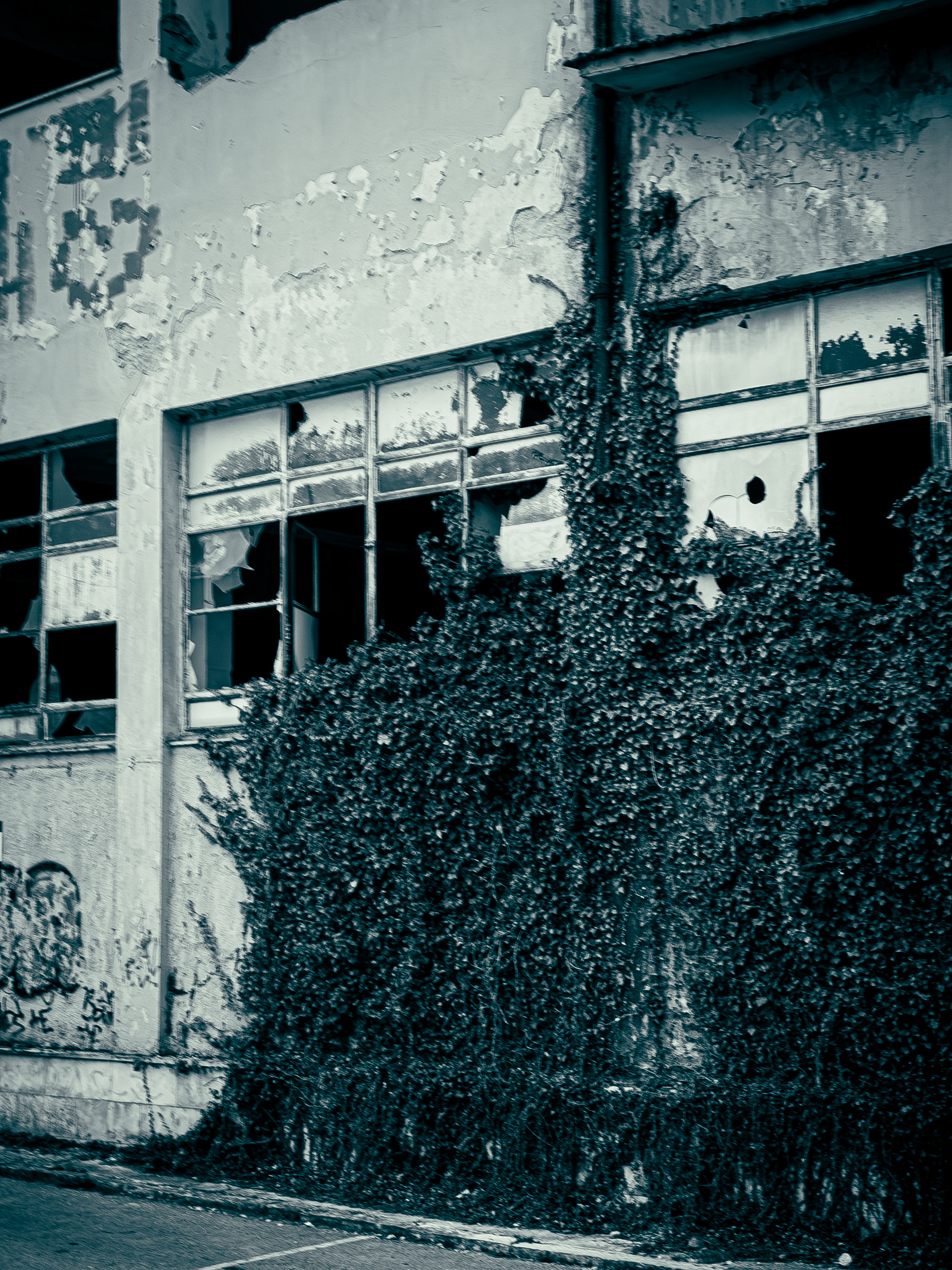 Old University of Ioannina