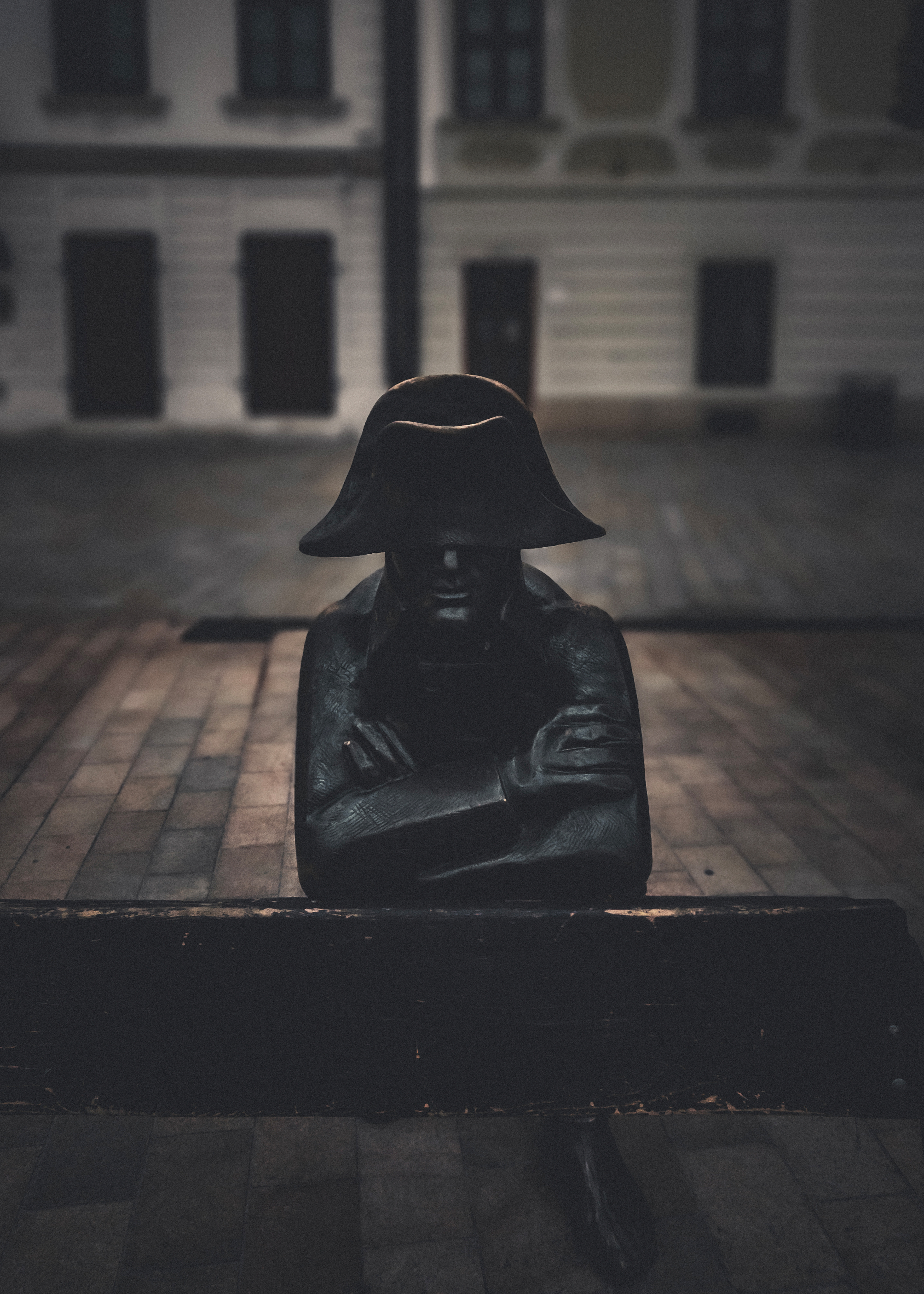 Napoleon's Army Soldier © Nicholas V. K.