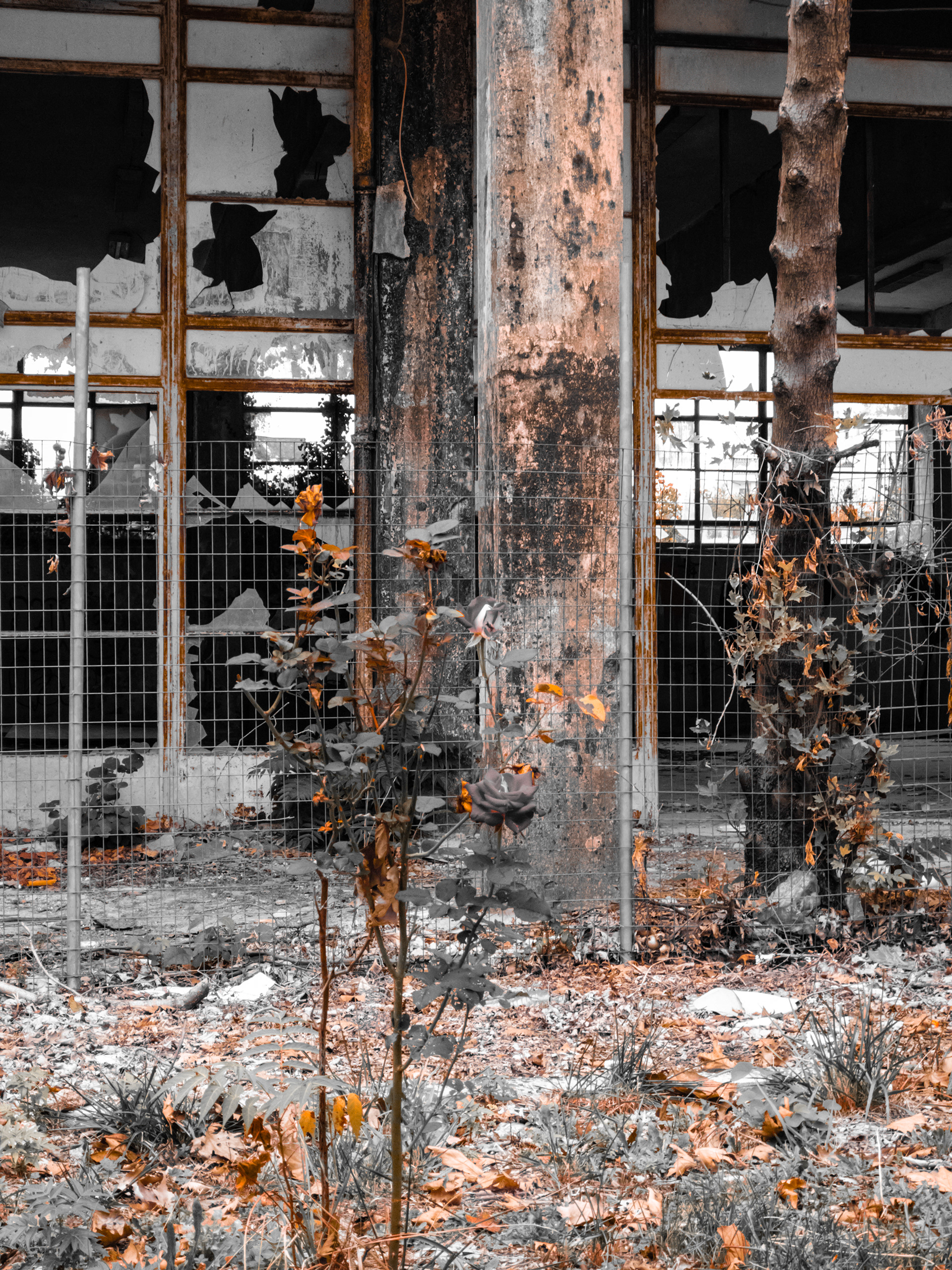 Old University of Ioannina