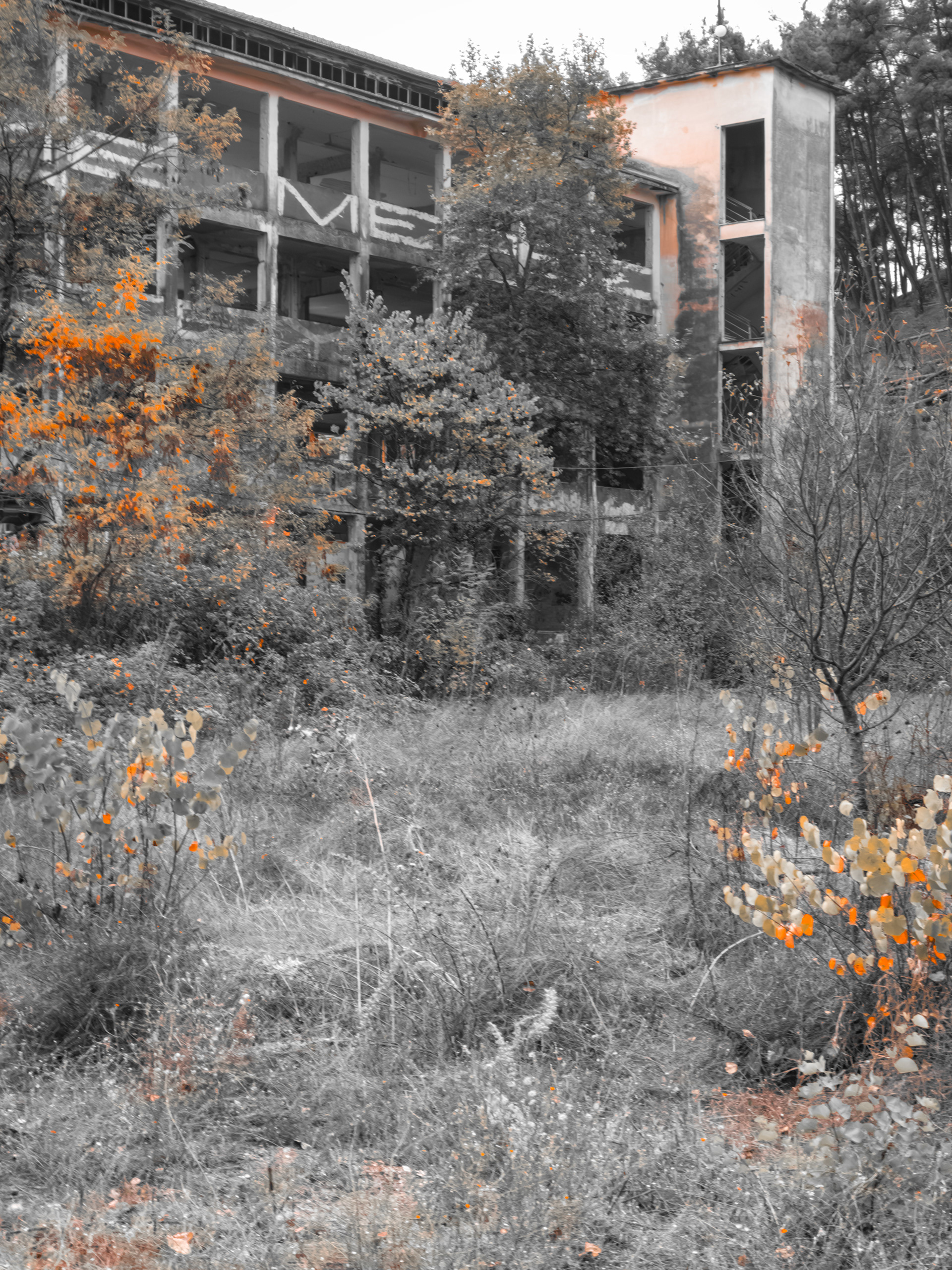 Old University of Ioannina