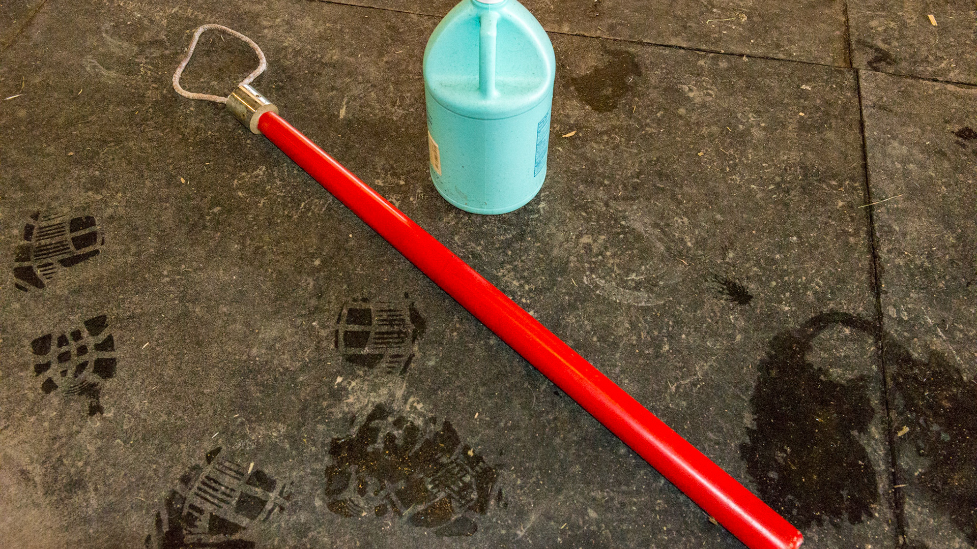 Long handle rope twitch. The gallon jug was included to show the relative size. This twitch is used for horses that rear but many people prefer these for everyday use.