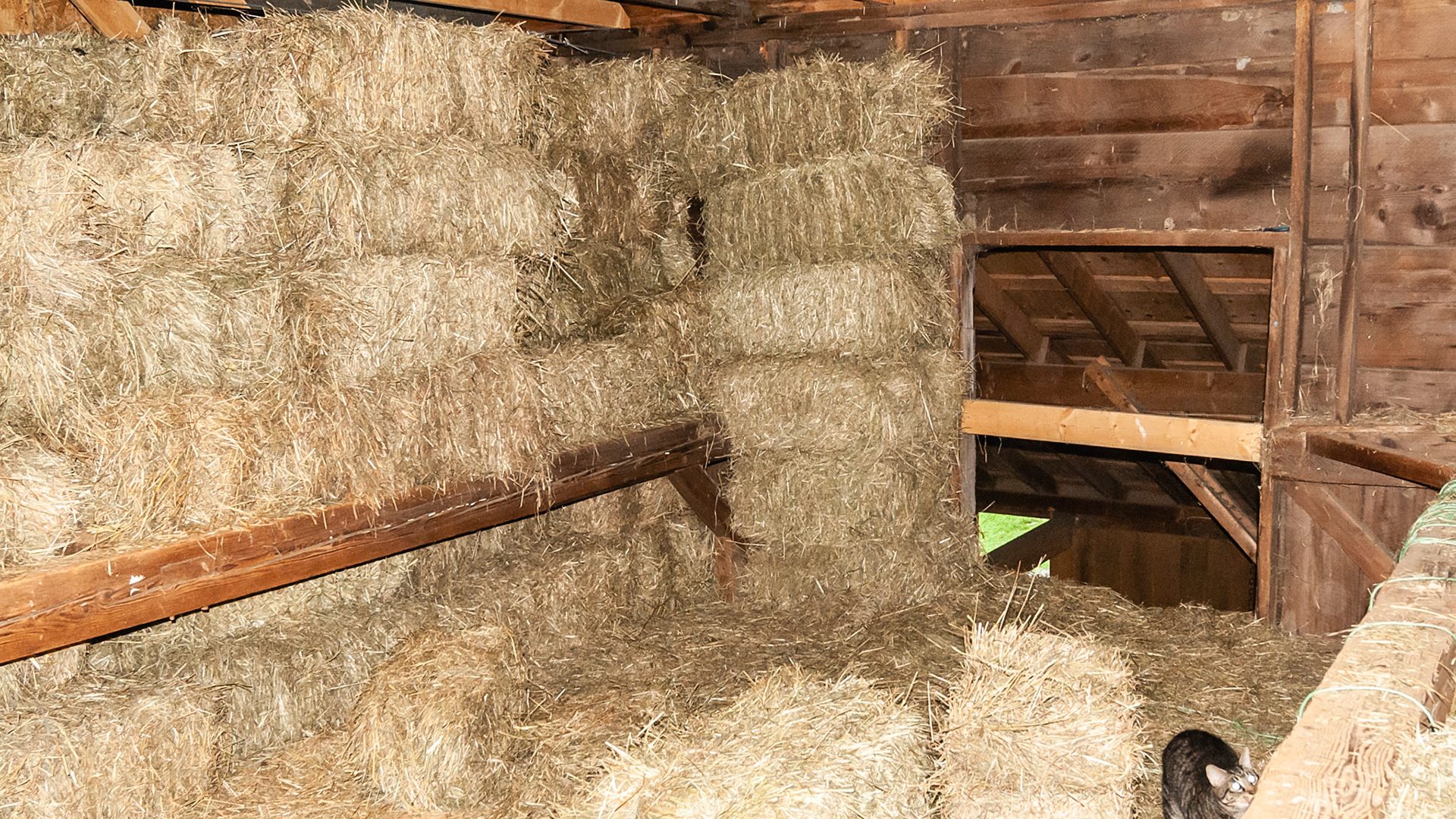 Barn loft storage