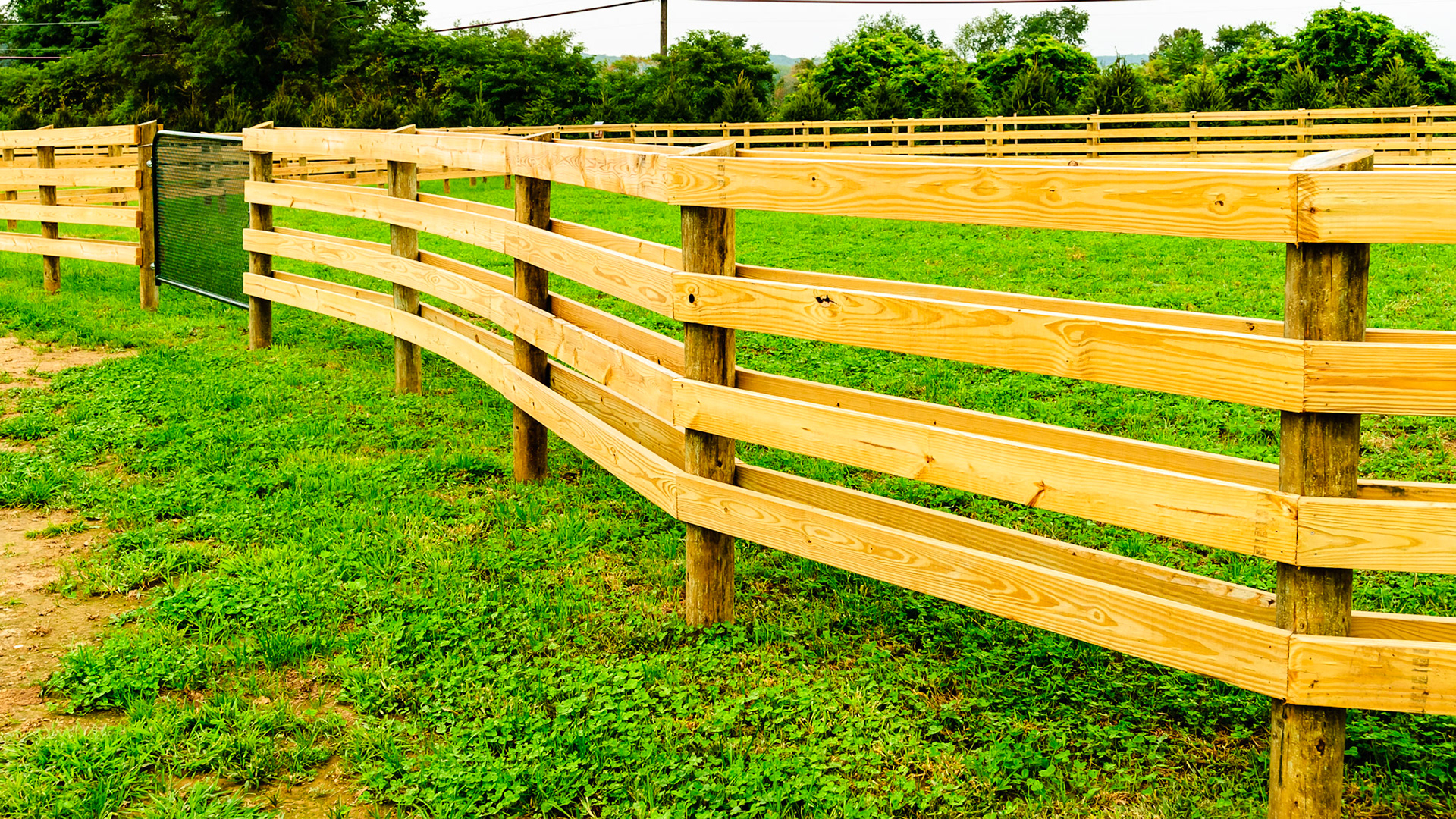 This fence style allows for curves by uses short 8 foot boards.  Note the double boarding on this fence line.