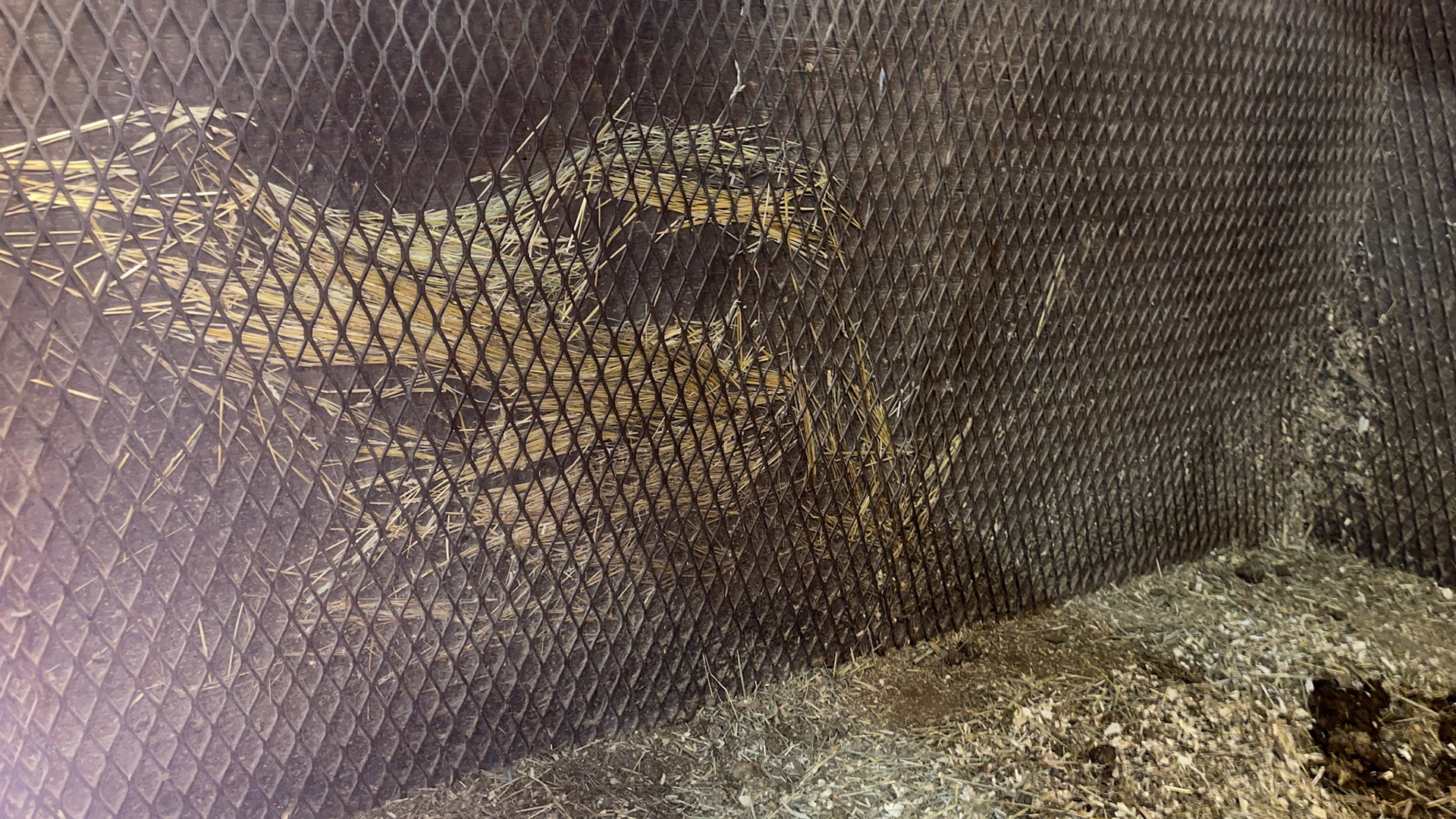 Protective screen on the walls of a stall.