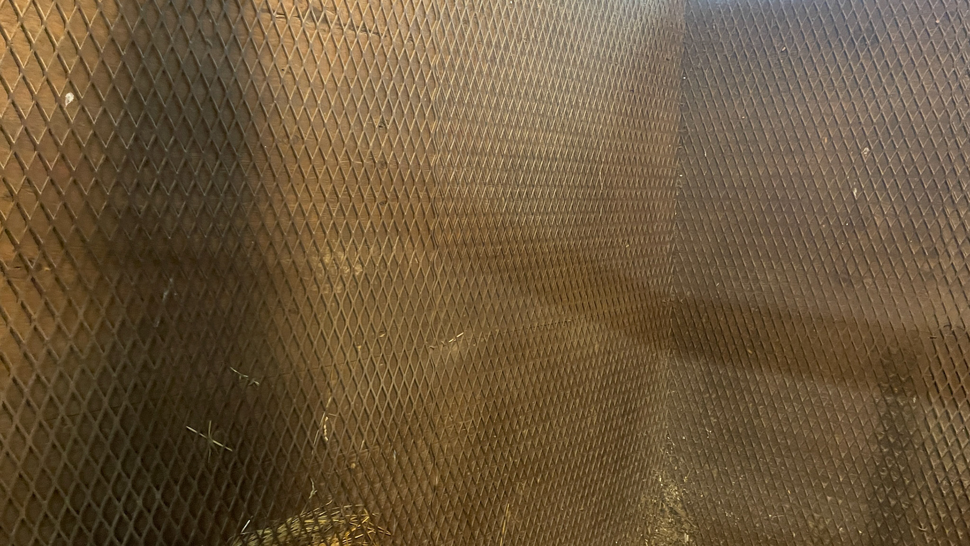 Protective screen on the walls of a stall.