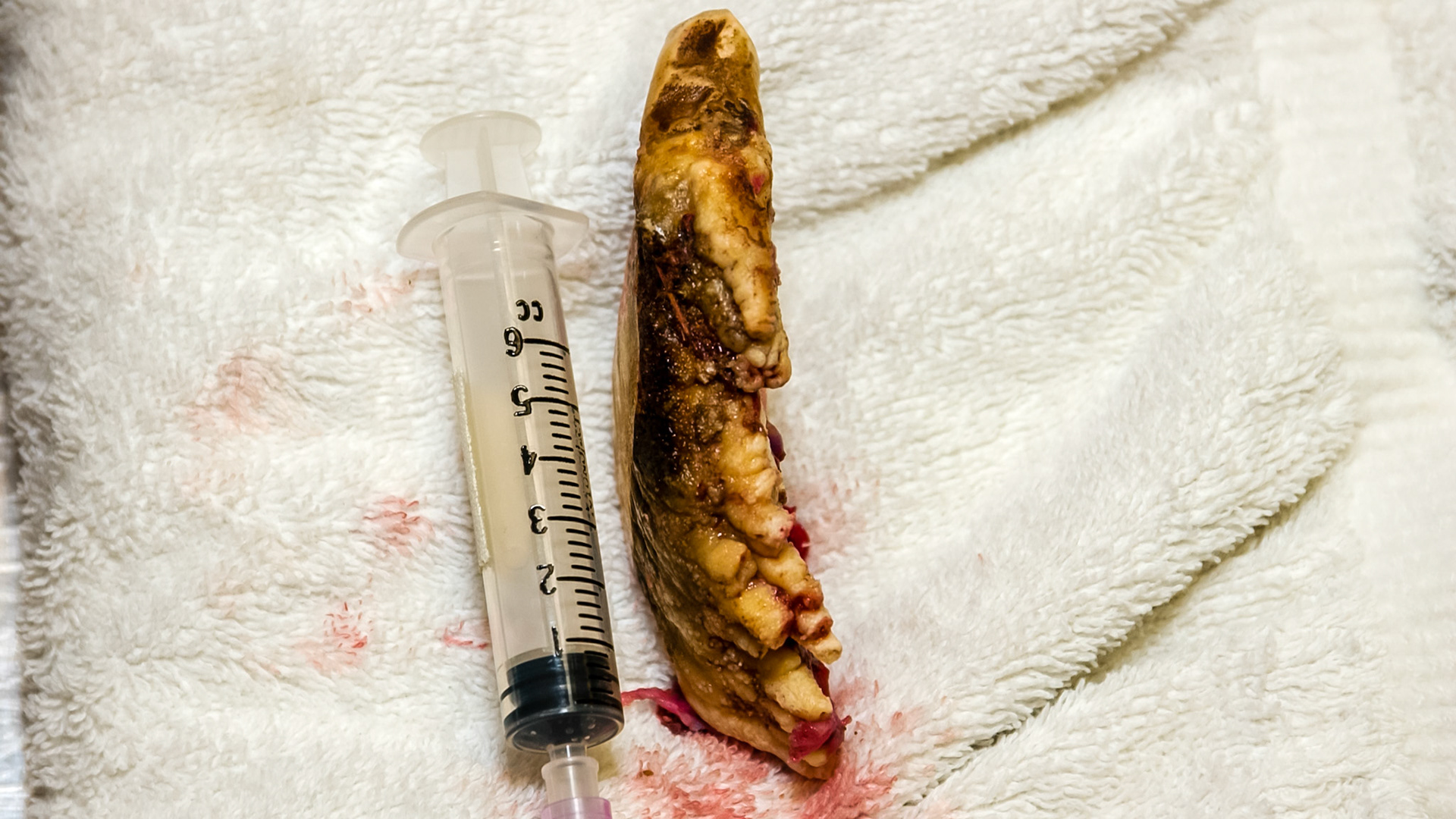 A warthog I have worked on.