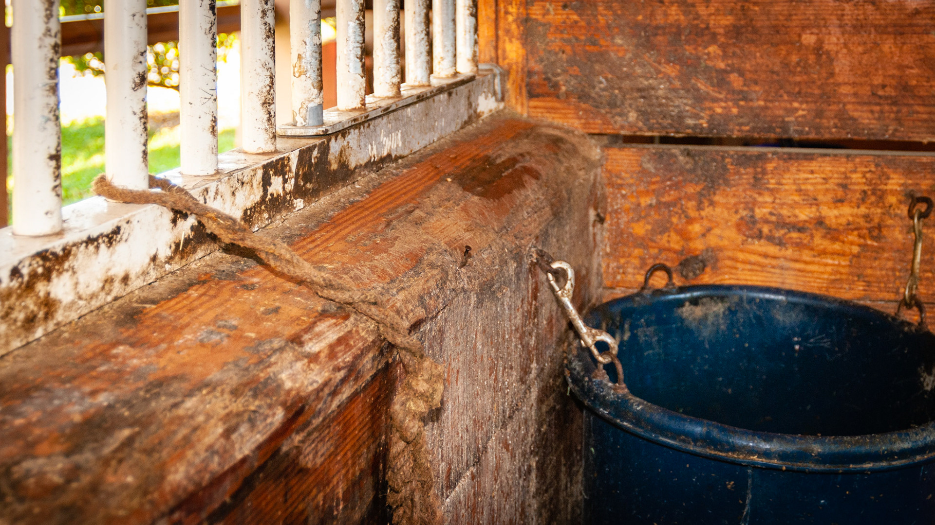 Exposed nails are common and can easily tear flesh and skin.