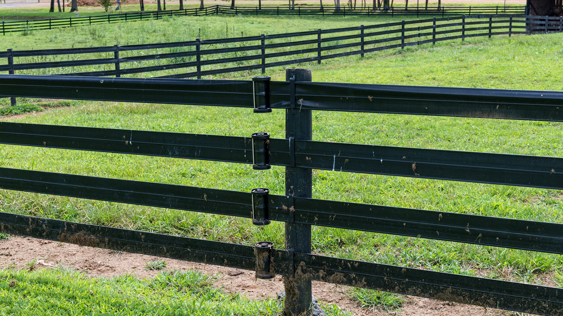 Black vinyl fencing with tensioners keeps this fence tight, though horses can stretch the bands and get parts of themselves trapped requiring 2 people to clear them. She said it had happened to 5 horses in the past month.