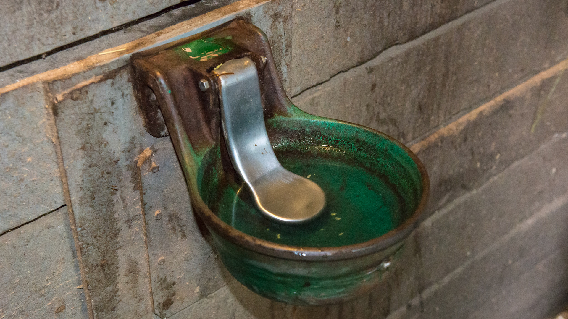 This automatic water system is common on cattle farms and uses a lever system to open the water valve. It is activated by pressure applied by the horse's nose.