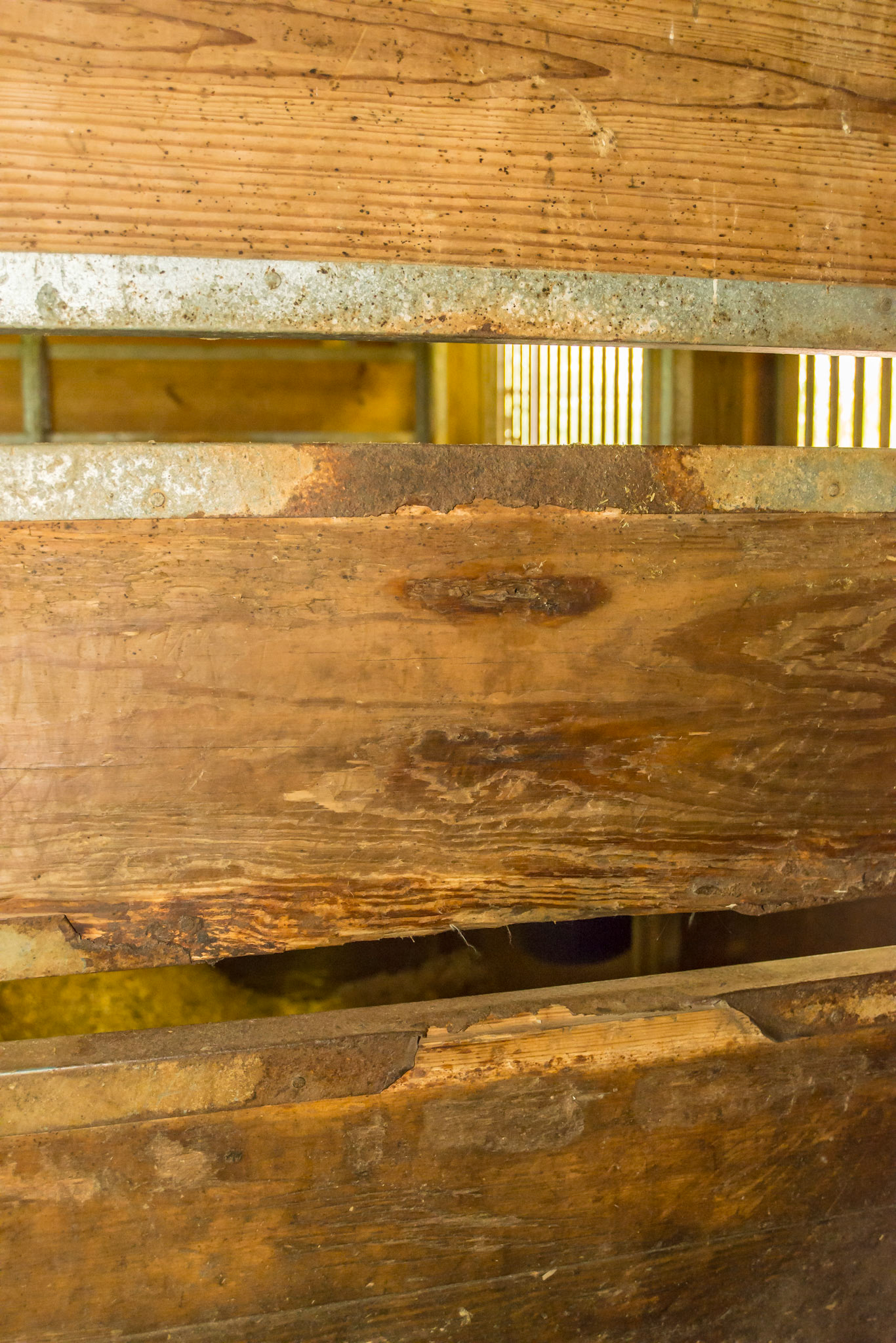 Rusted out galvanized metal on stall walls