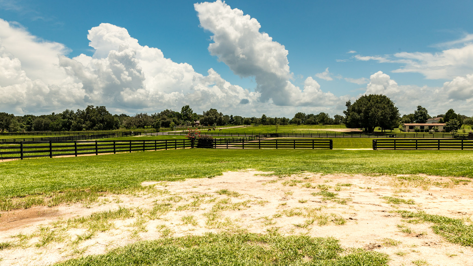 4 board fencing coated in black preservative paint.