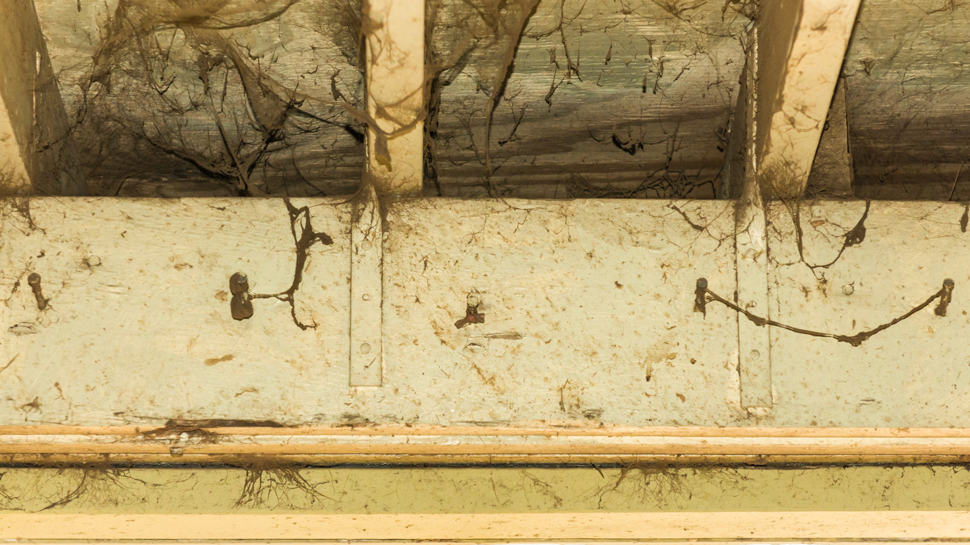 These exposed nails are above the door and appear out of the way, but as I worked on this horse, his head and eye could come into contact with these sharp edges.